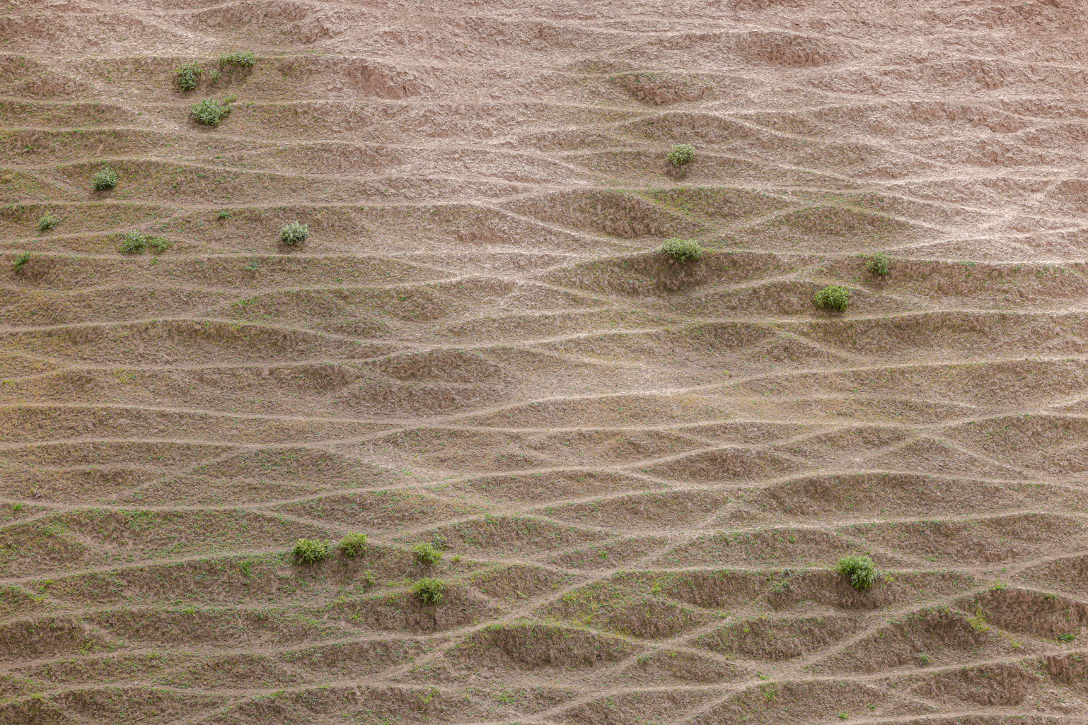 اثر منحنی های آرامش از مجید حجتی (ماهو) اثر منحنی های آرامش از مجید حجتی (ماهو)