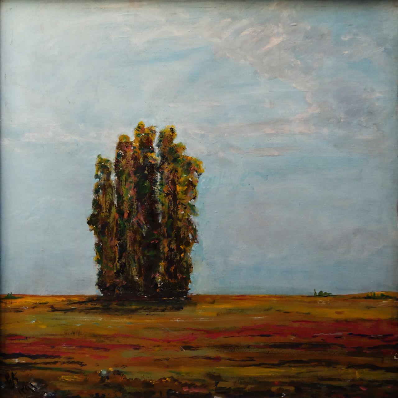 اثر بدون عنوان از سعید امدادیان اثر بدون عنوان از سعید امدادیان