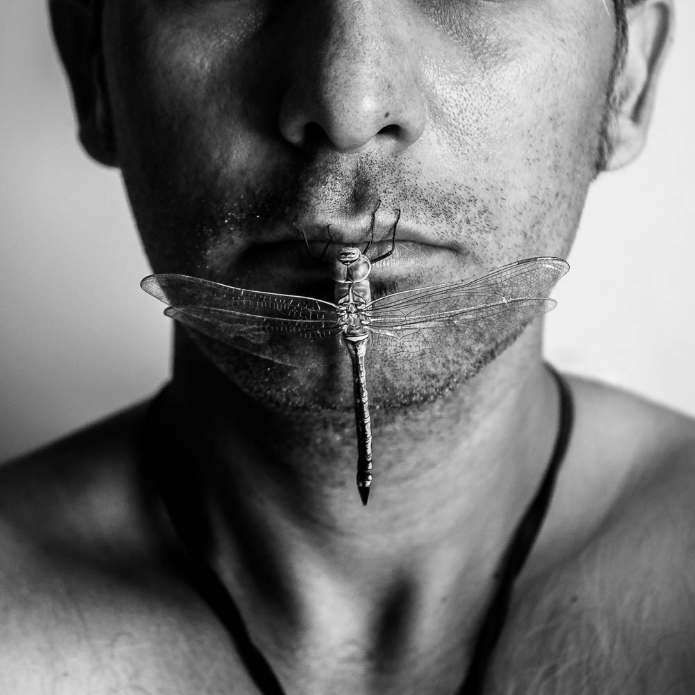 Artwork Silence by shahrouz heidari Artwork Silence by shahrouz heidari