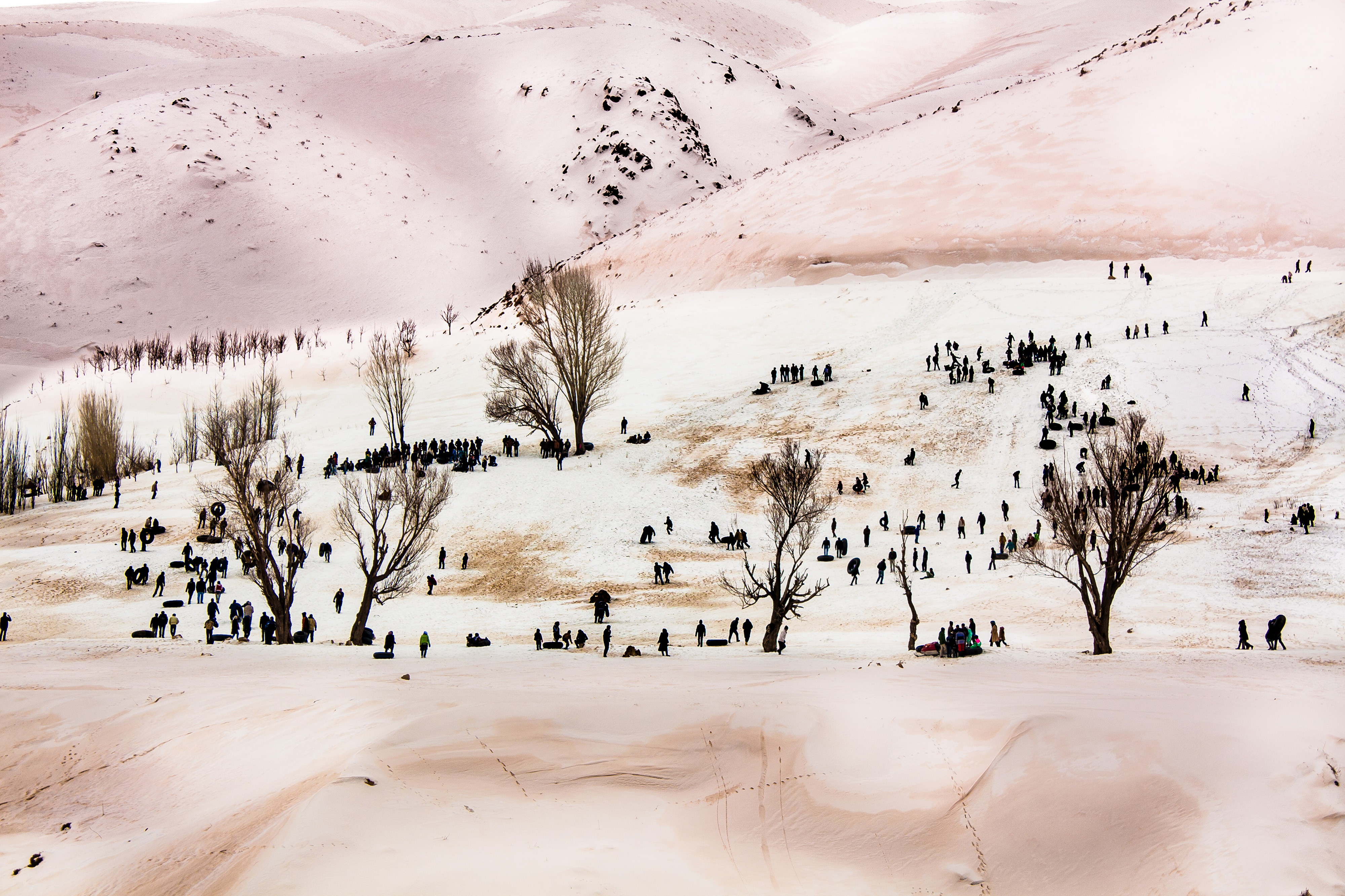 Artwork winter 1 by shahrouz heidari Artwork winter 1 by shahrouz heidari