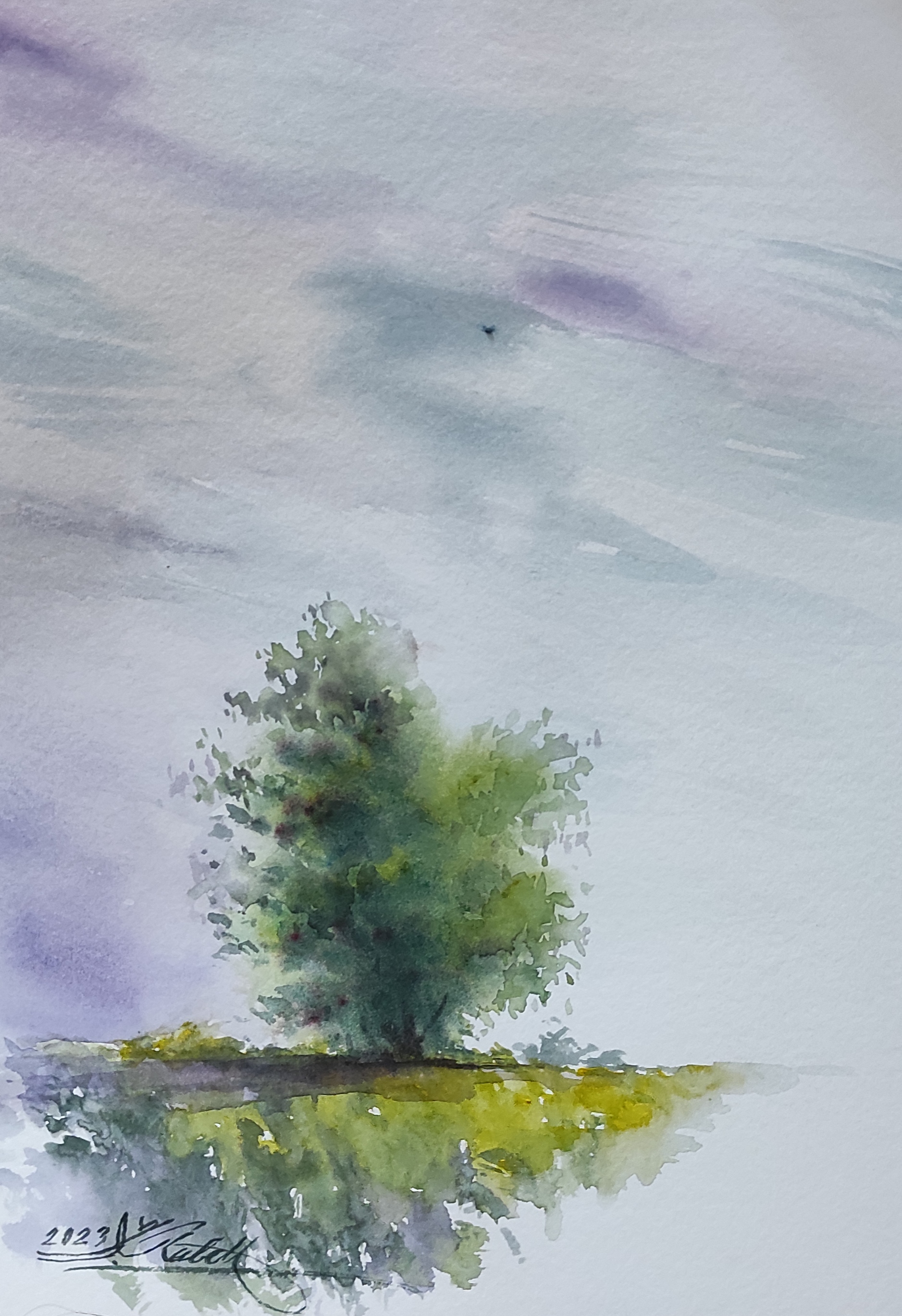 Artwork Konar tree by abdolreza rabeti Artwork Konar tree by abdolreza rabeti