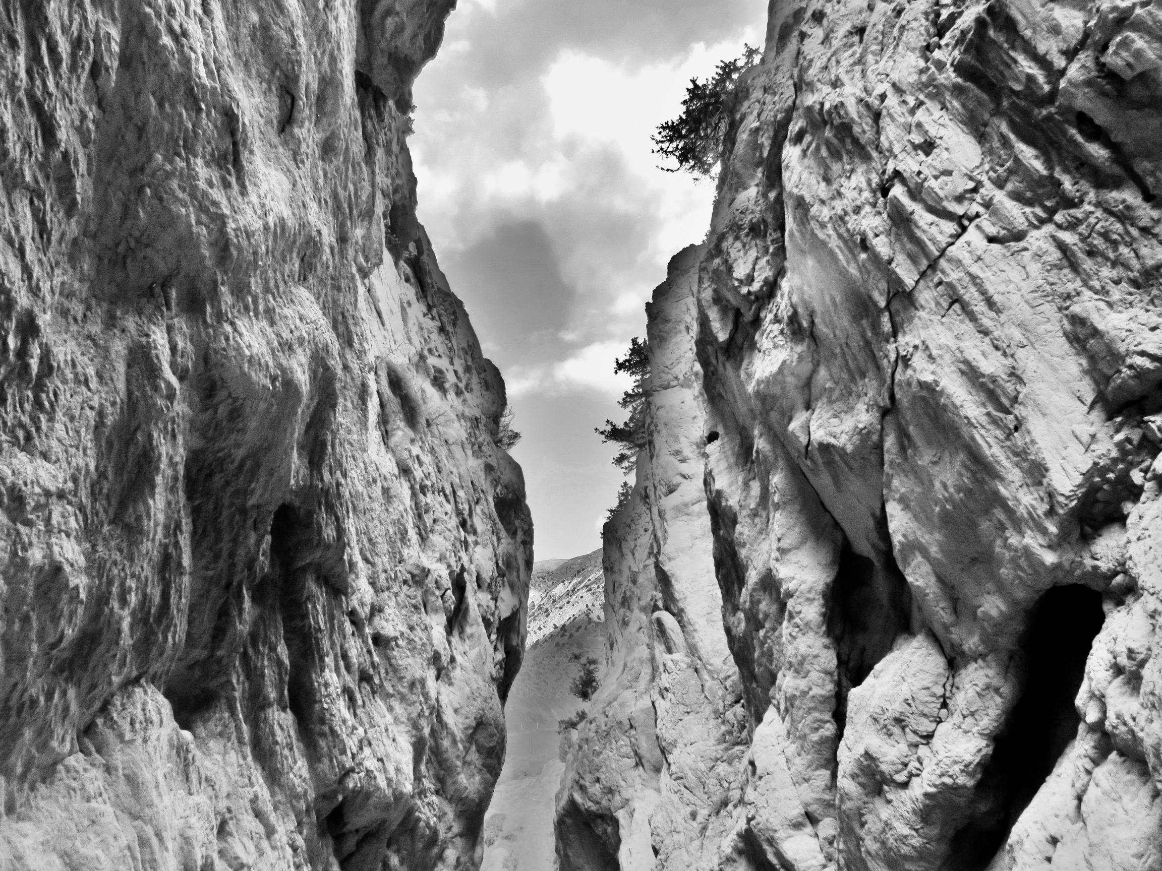 Artwork Untitled 4 by Soheila Sarmadi Artwork Untitled 4 by Soheila Sarmadi