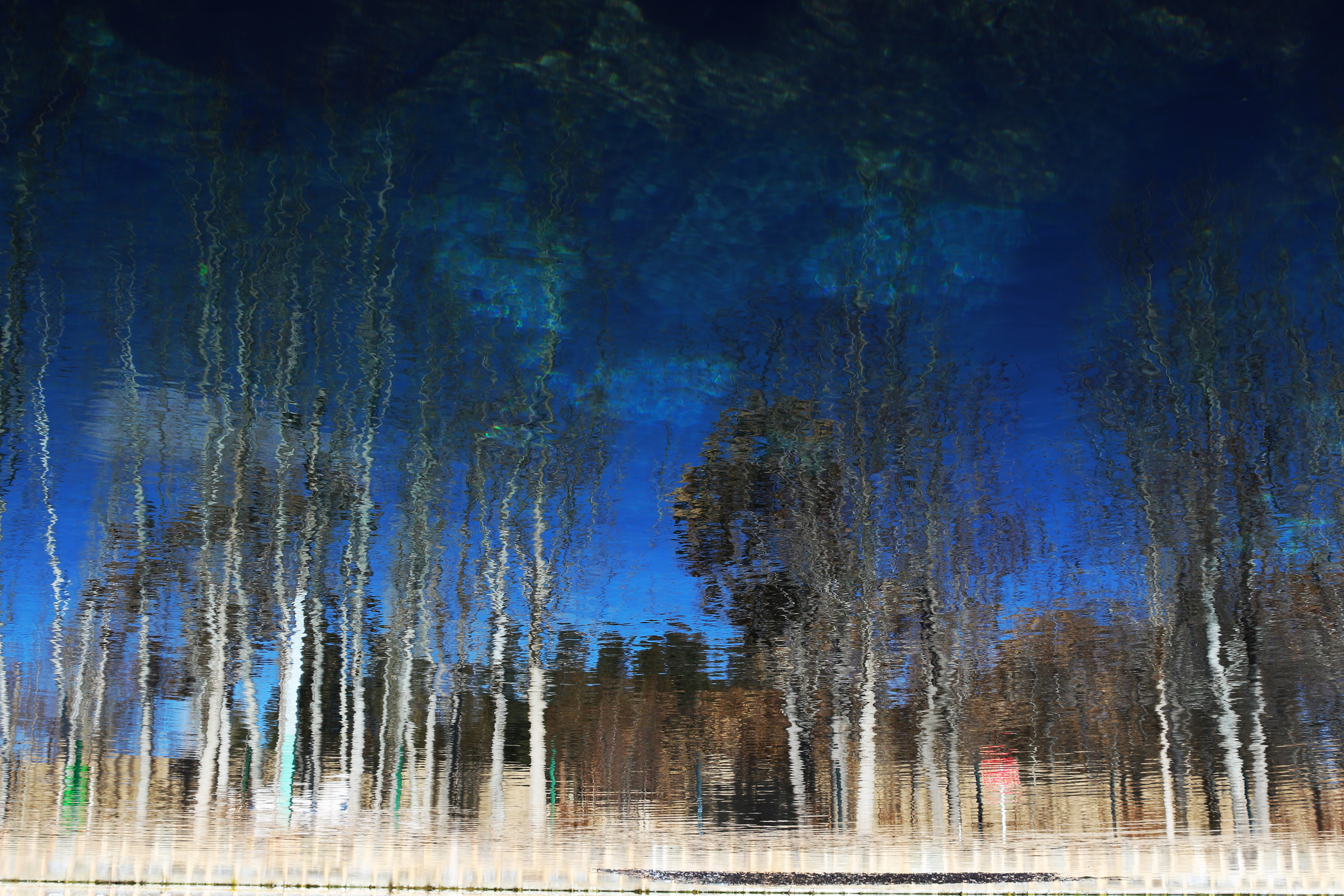 Artwork here by Abed Mirmasoumi Artwork here by Abed Mirmasoumi