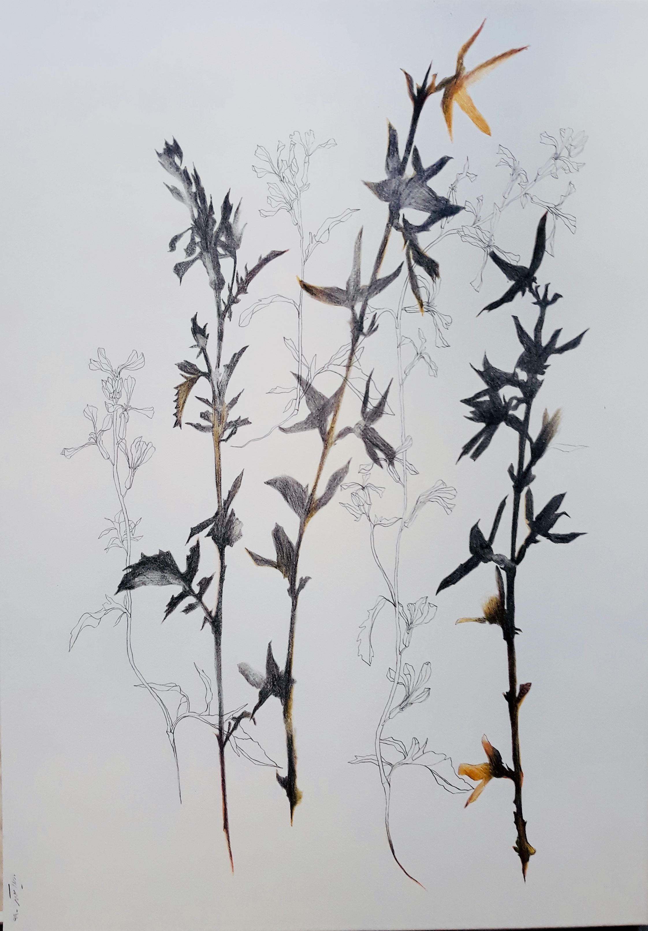 Artwork Untitled6 by Nazila Moghadam Artwork Untitled6 by Nazila Moghadam