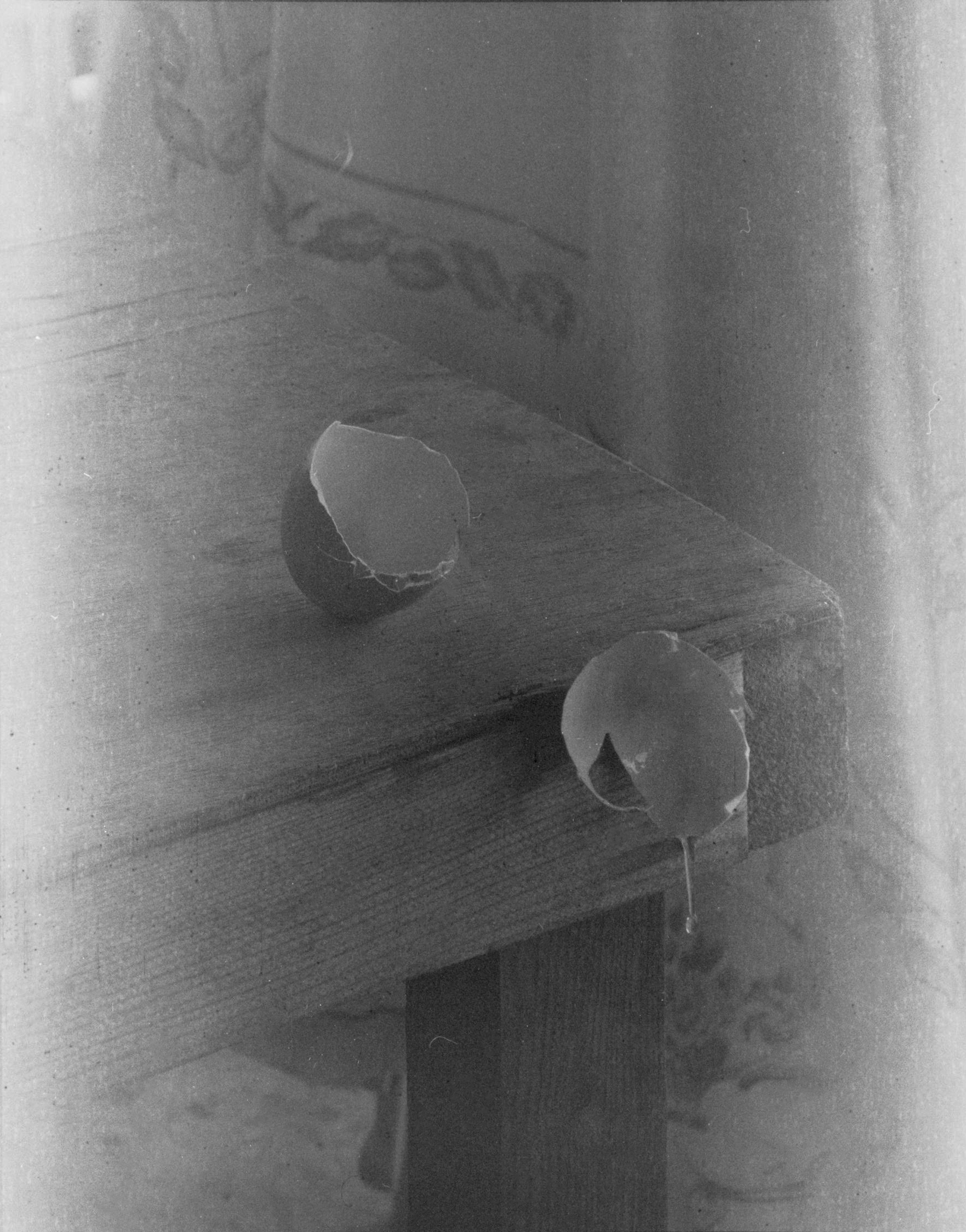 اثر بدون عنوان از رضا شریفی اثر بدون عنوان از رضا شریفی