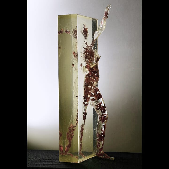 Artwork Freedom by Donya Fazelnia Artwork Freedom by Donya Fazelnia