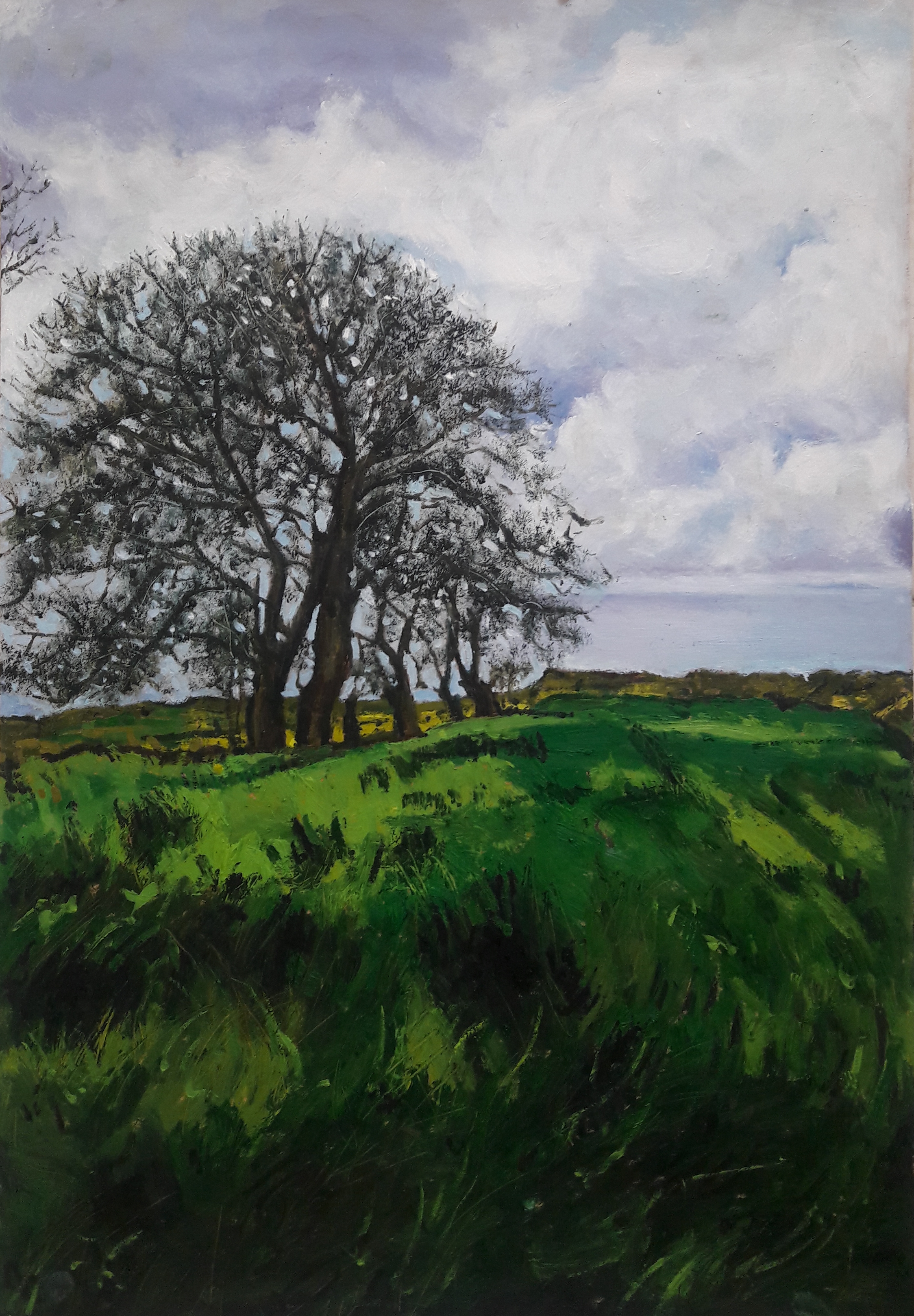 اثر بدون عنوان 1 از سارا مرادی اثر بدون عنوان 1 از سارا مرادی