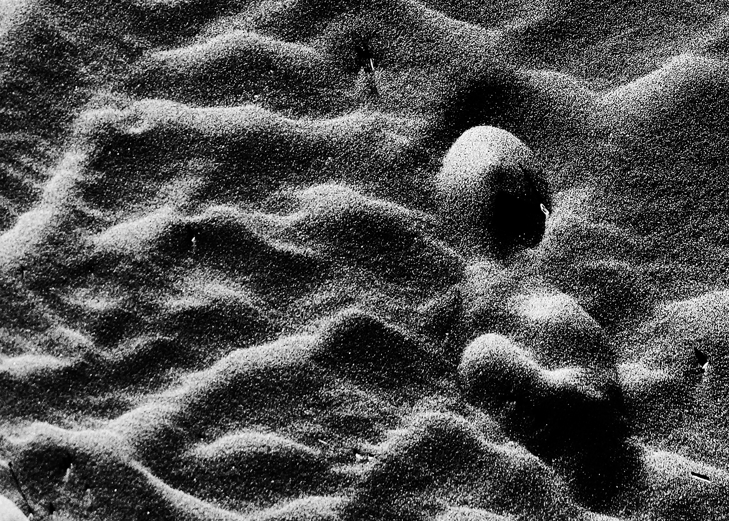 Artwork Fetus by Abed Mirmasoumi Artwork Fetus by Abed Mirmasoumi