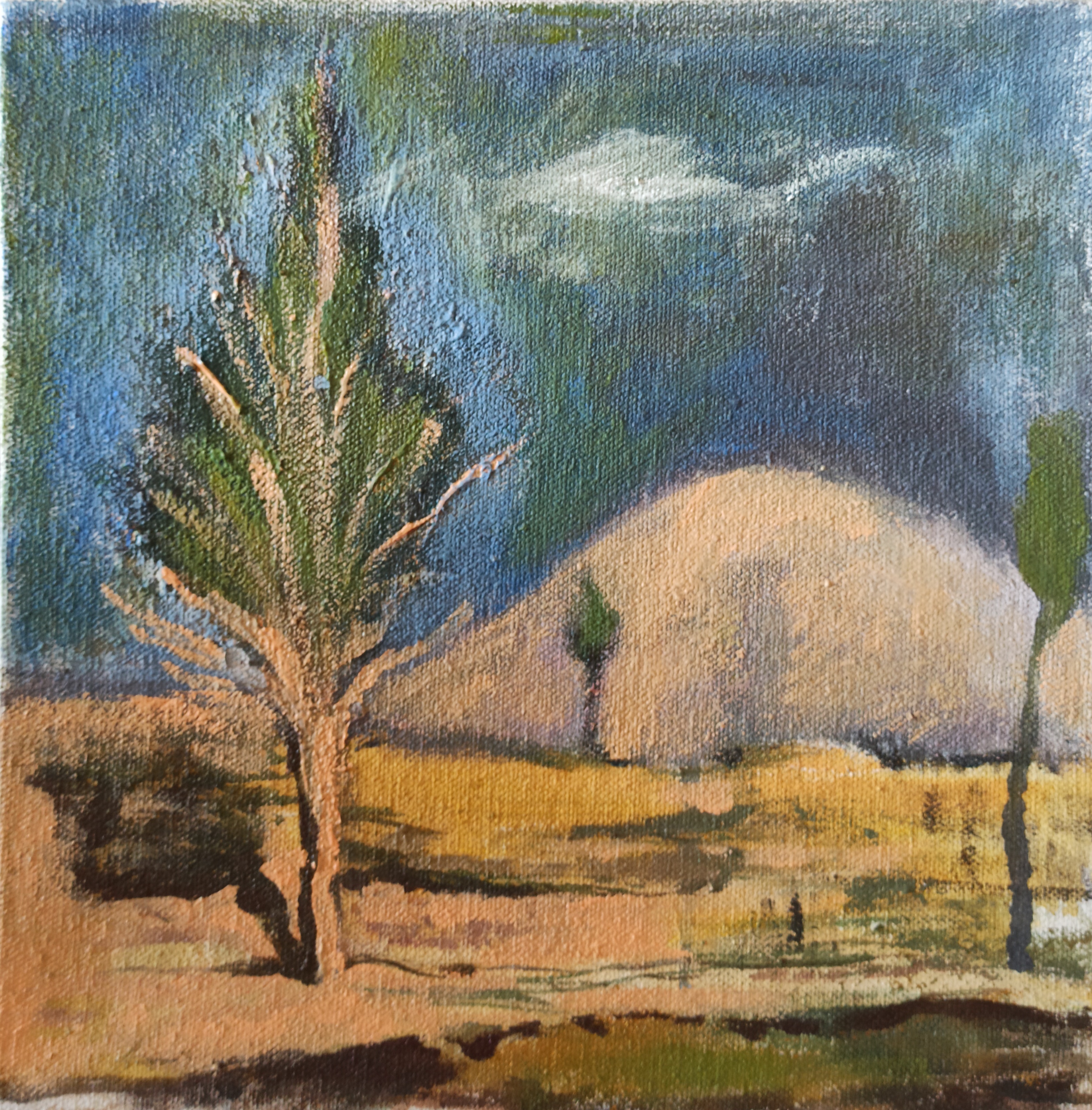 اثر طبیعت کوچک یک از فاطمه آقاکبیری اثر طبیعت کوچک یک از فاطمه آقاکبیری