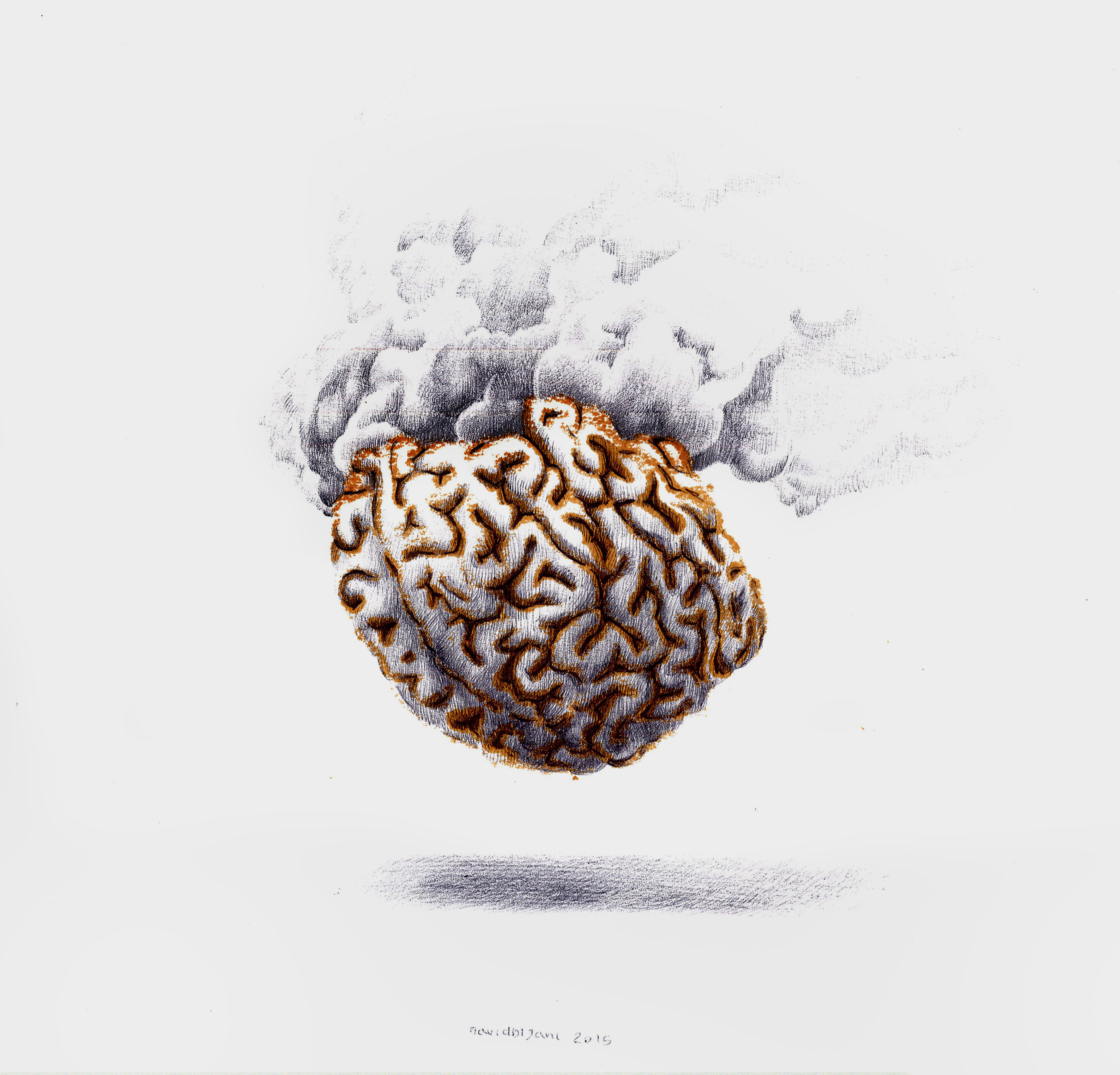Artwork the brain by navid bijani Artwork the brain by navid bijani