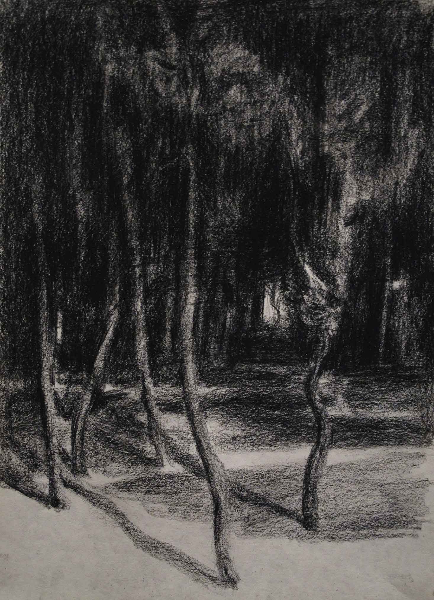 اثر از مجموعه "سرزمین آتال" 20 از قادر منصوری اثر از مجموعه "سرزمین آتال" 20 از قادر منصوری