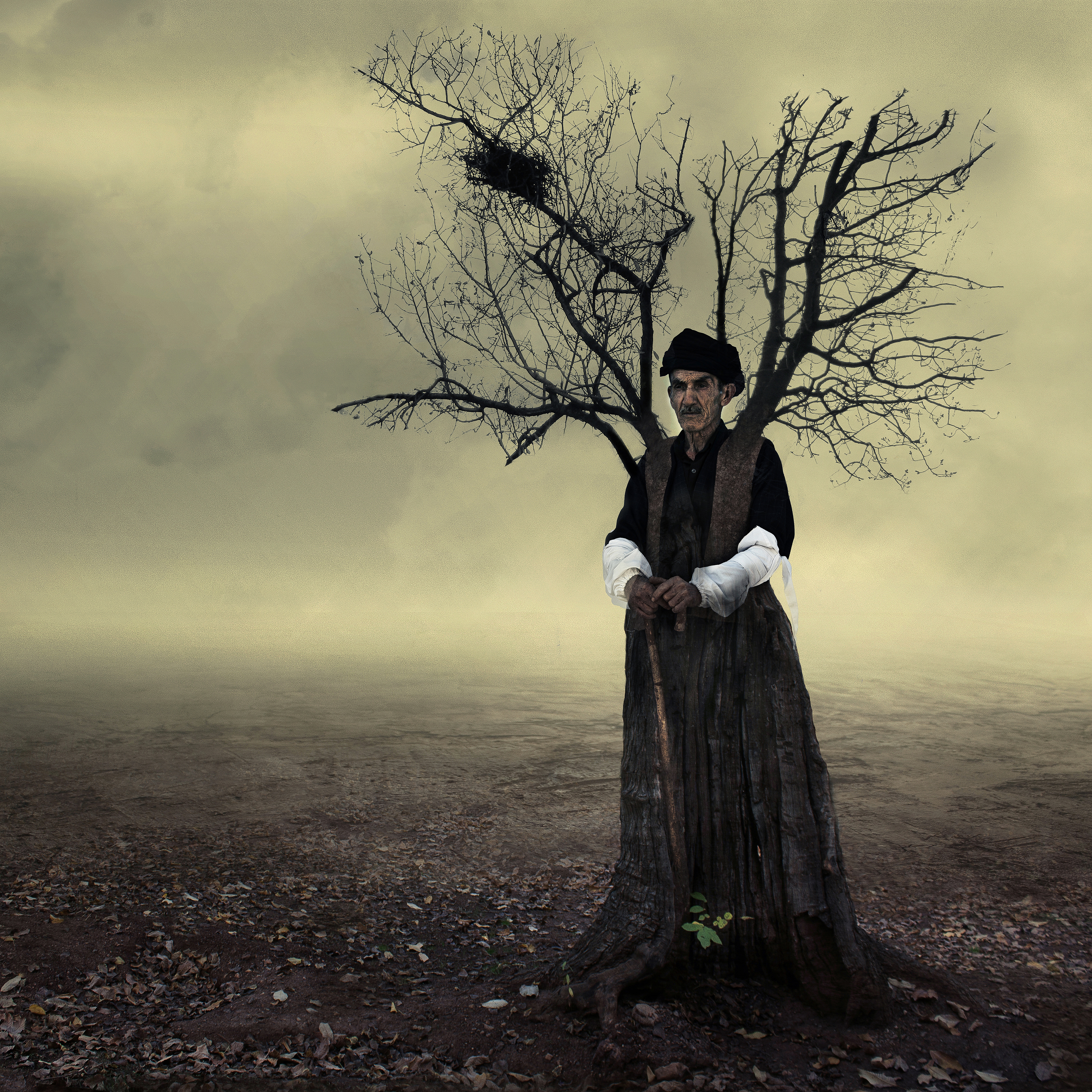 Artwork old by pejman shojaei Artwork old by pejman shojaei