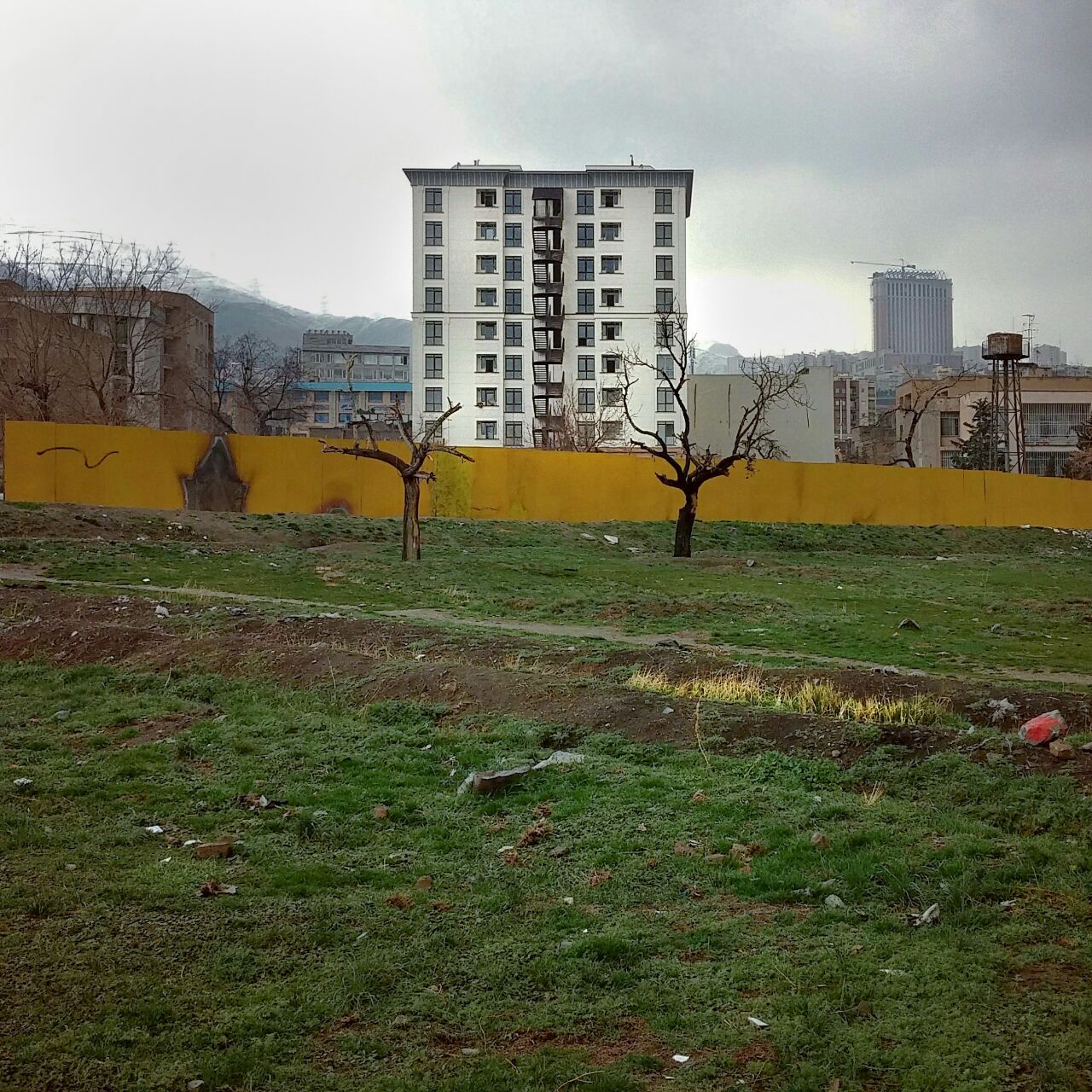 Artwork Untitled 13 by Alireza Zangiabadi Artwork Untitled 13 by Alireza Zangiabadi