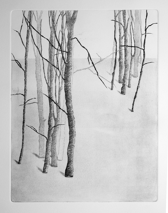 Artwork Garden of Silence 7 by Shokoufeh Fallah Artwork Garden of Silence 7 by Shokoufeh Fallah