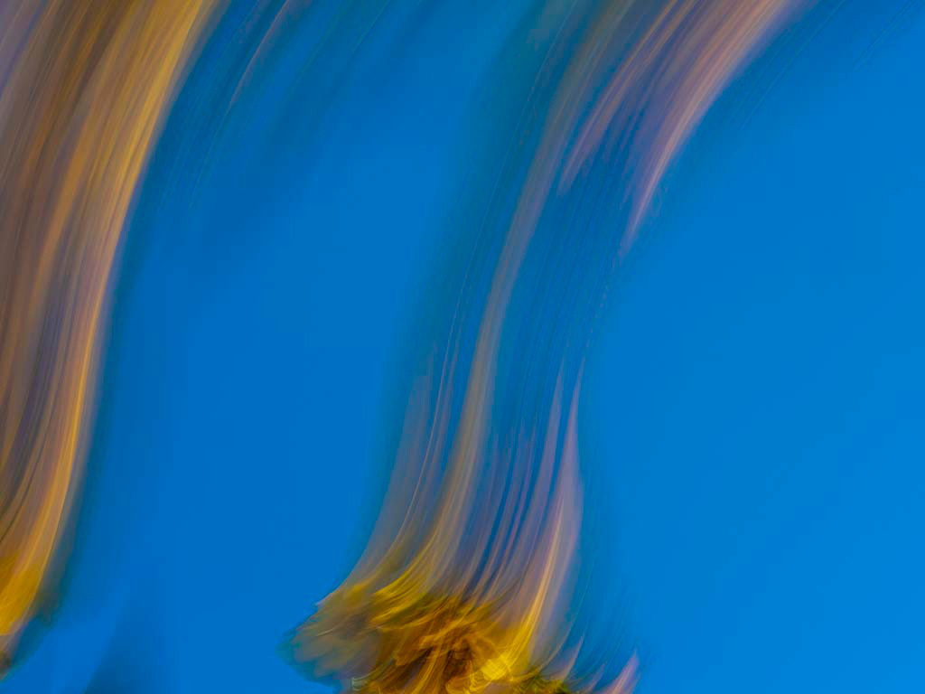 Artwork Summer by Saeid Mahmoudi Aznaveh Artwork Summer by Saeid Mahmoudi Aznaveh