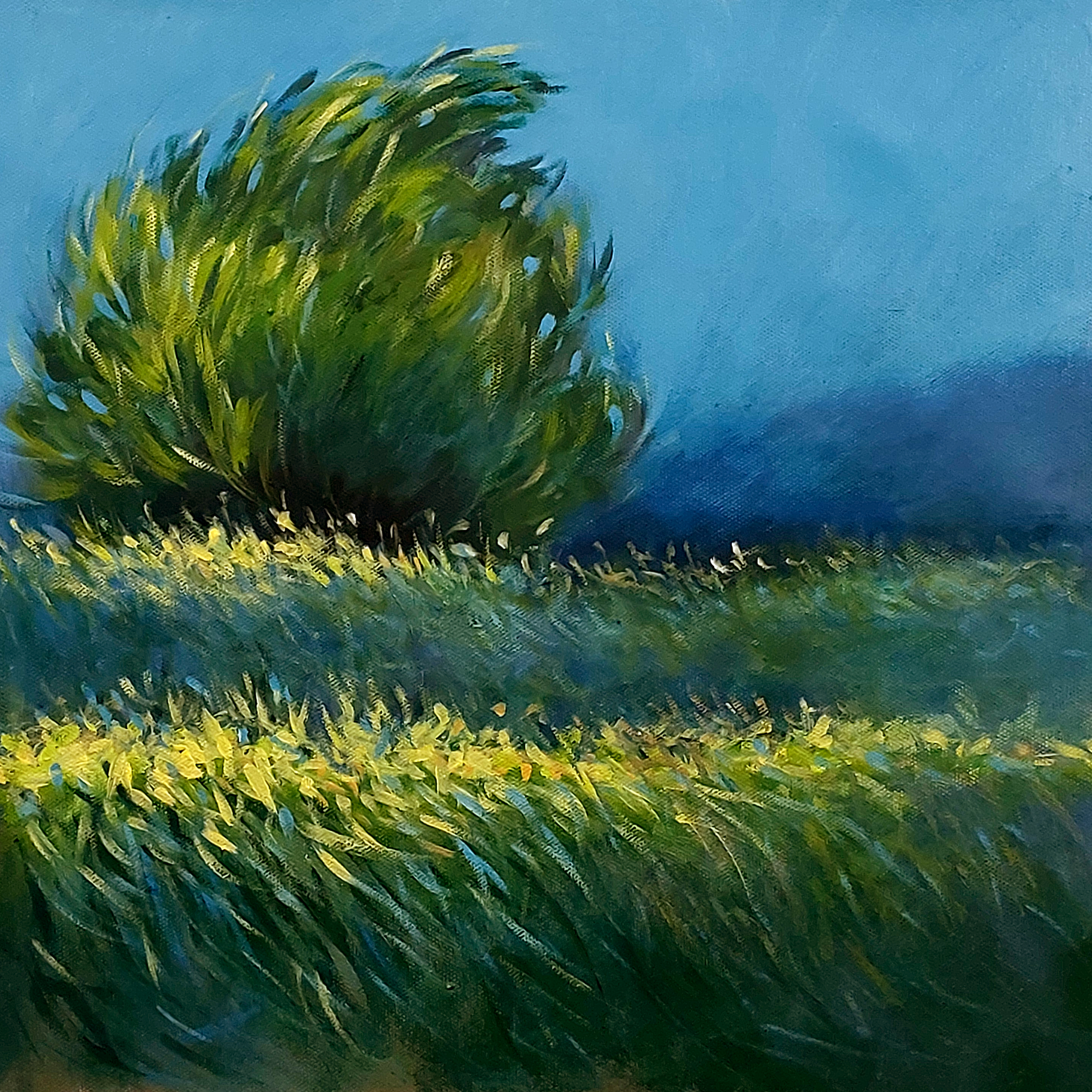 Artwork Tree by Kheyrollah Asghari Artwork Tree by Kheyrollah Asghari