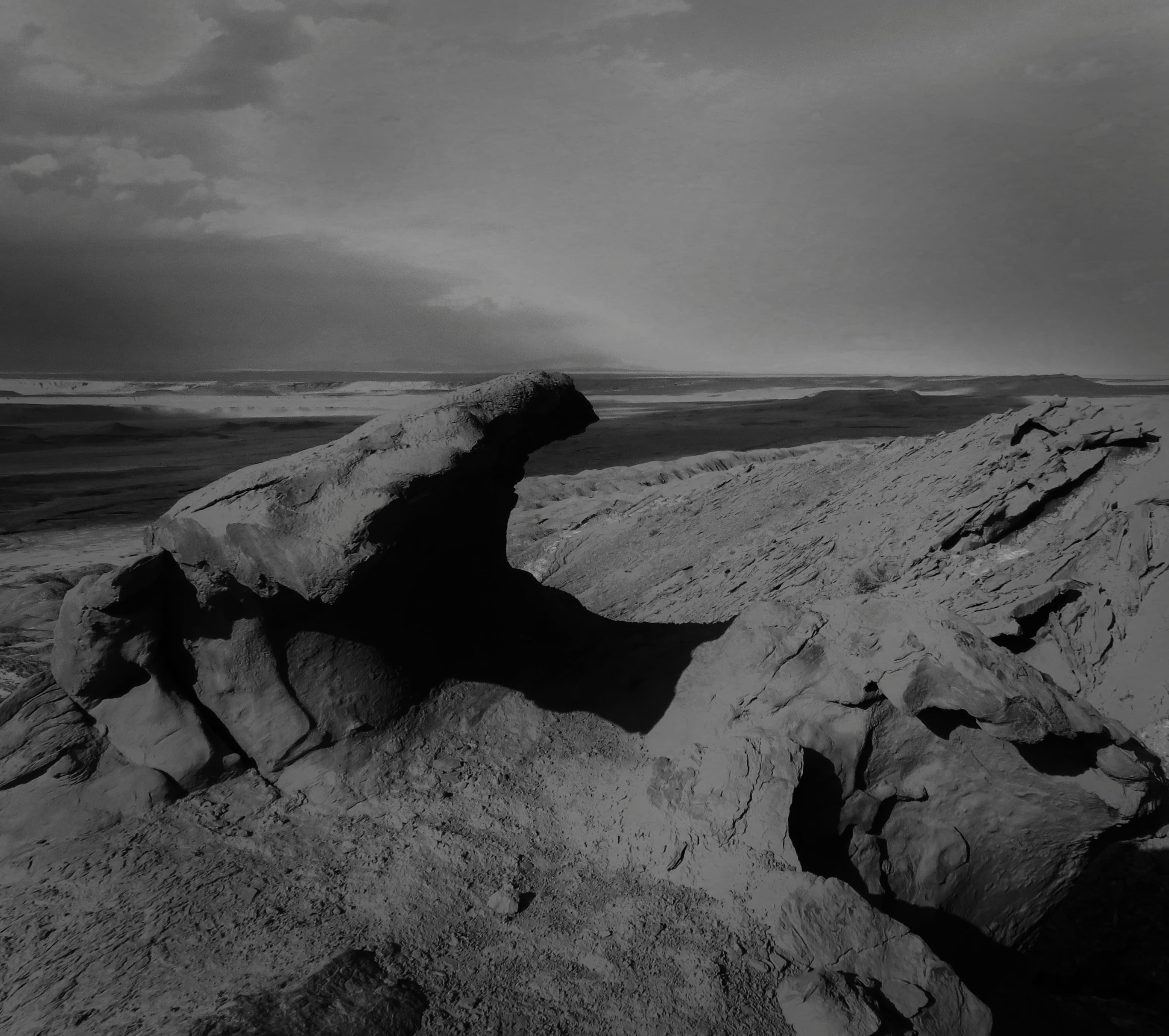 اثر بر باد رفته از سهیلا سرمدی اثر بر باد رفته از سهیلا سرمدی