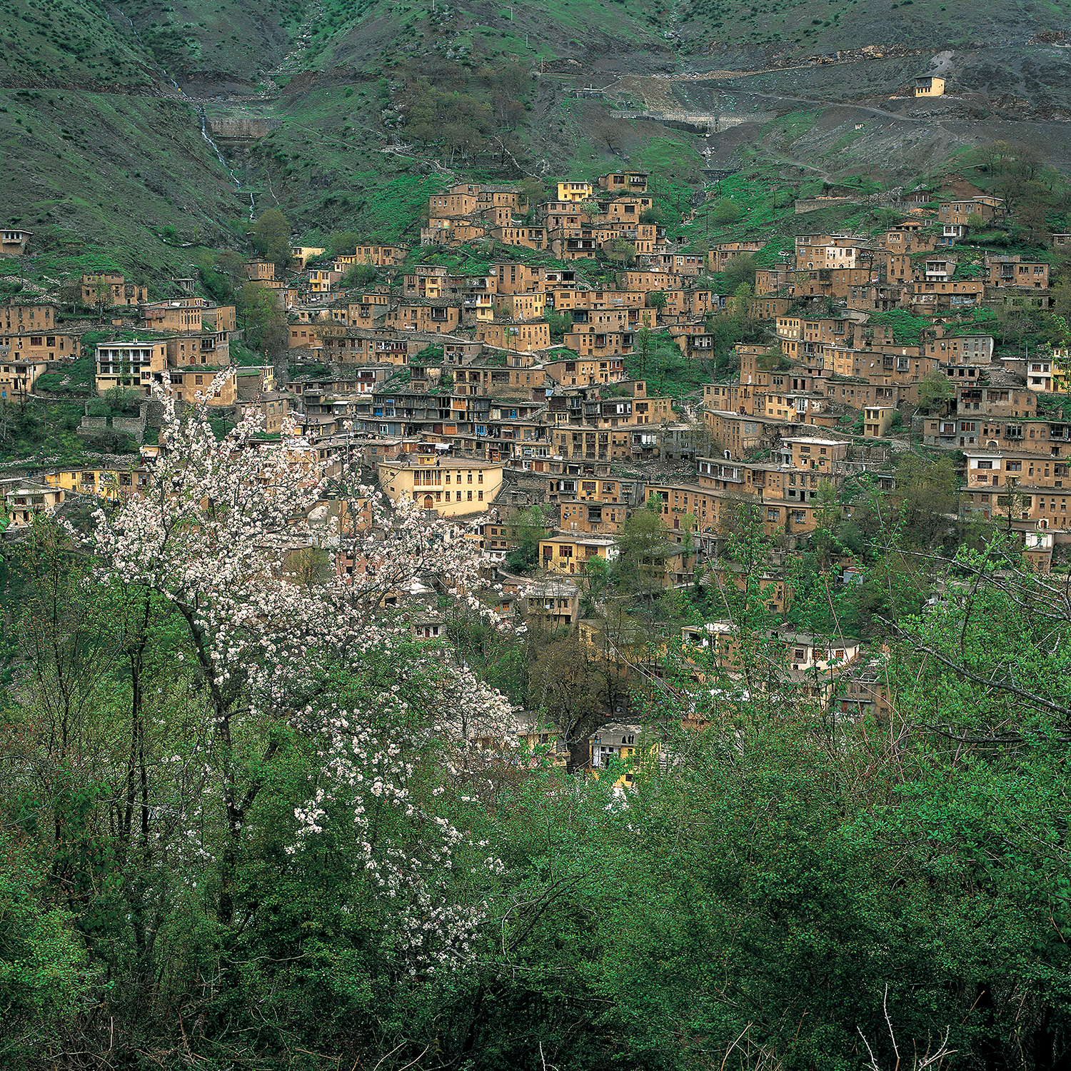 اثر ماسوله در بهار از سعید محمودی ازناوه اثر ماسوله در بهار از سعید محمودی ازناوه