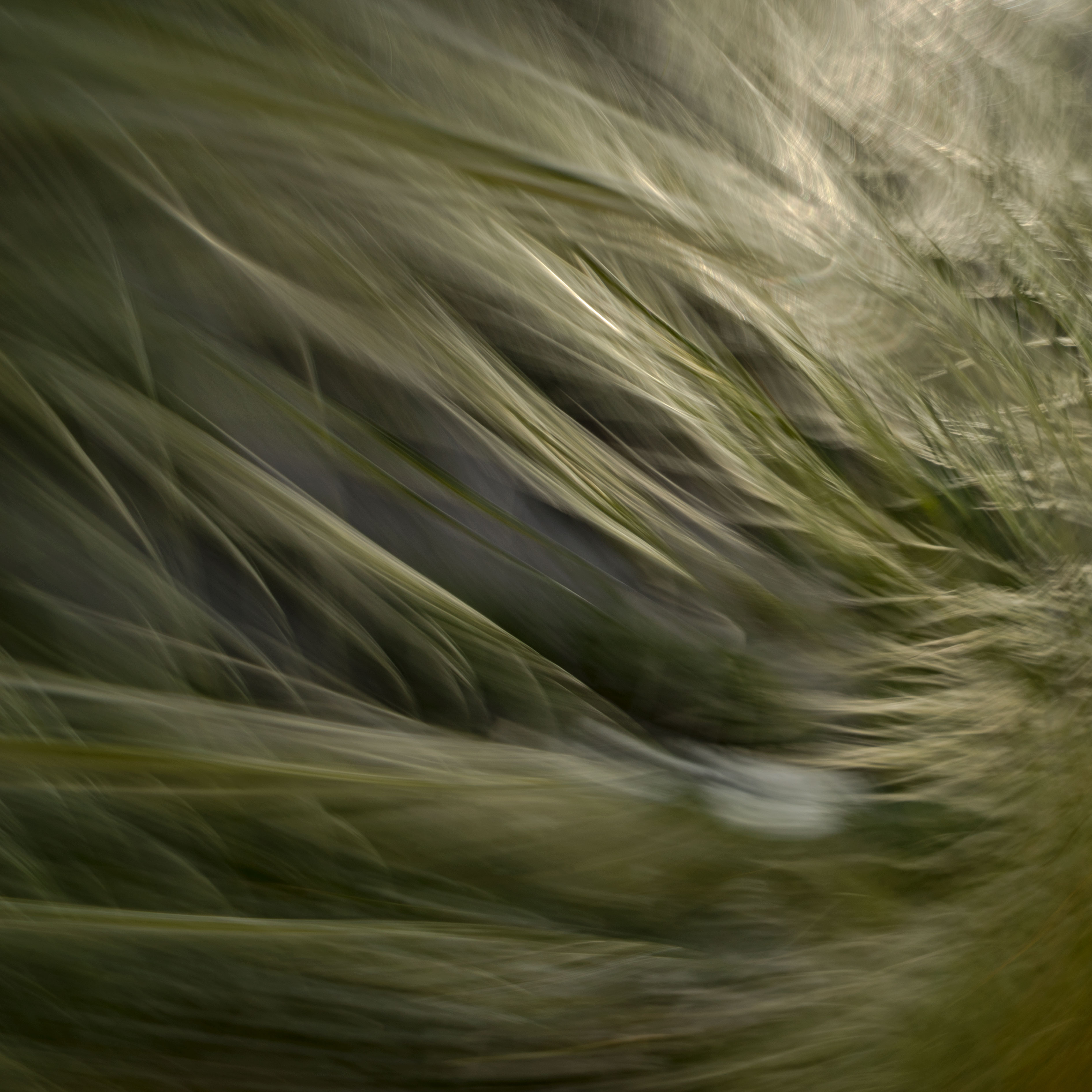 Artwork Halo by Saeid Mahmoudi Aznaveh Artwork Halo by Saeid Mahmoudi Aznaveh