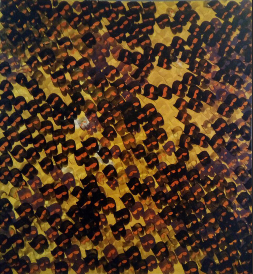 Artwork Untitled by ENAYTOLLA NAZARI NORI Artwork Untitled by ENAYTOLLA NAZARI NORI