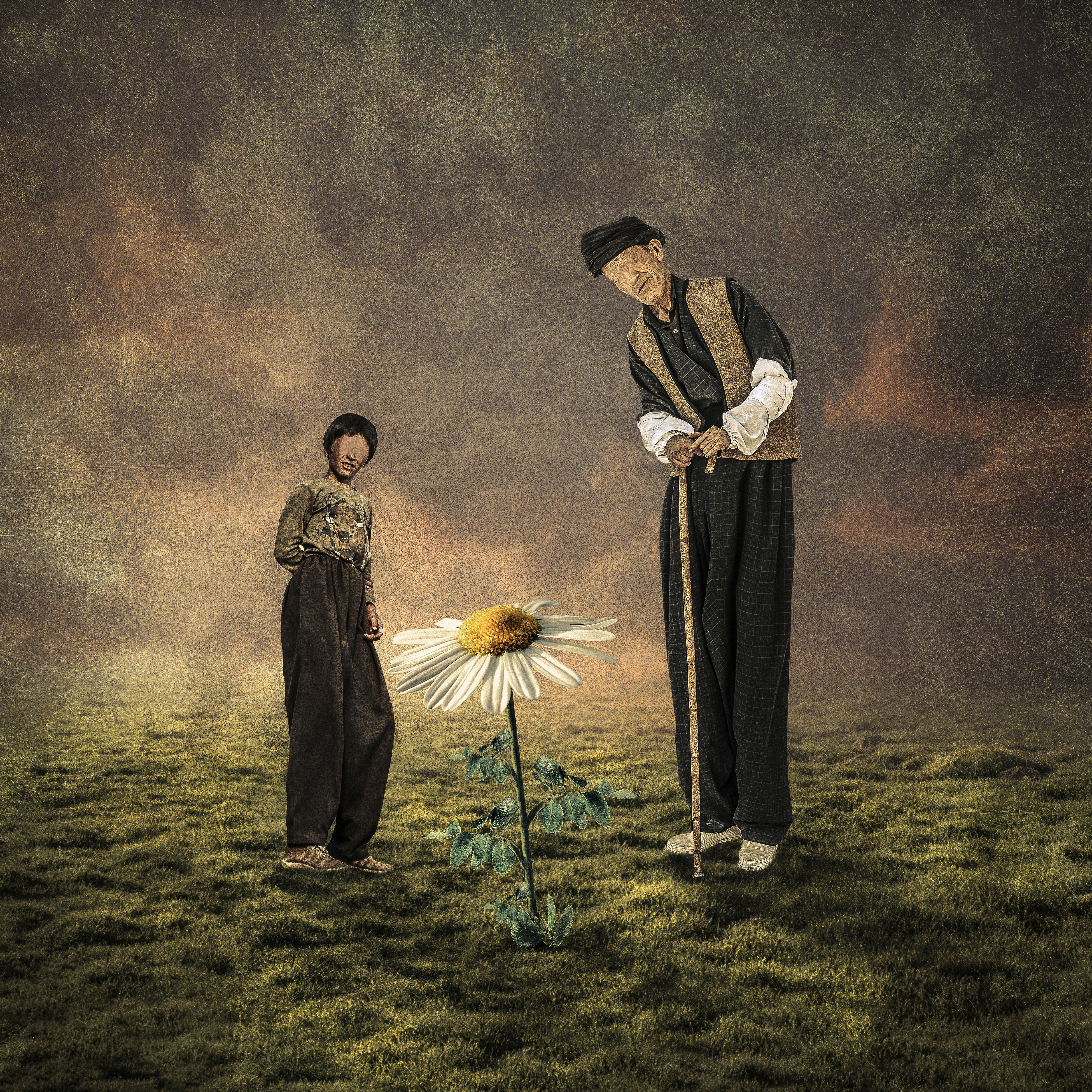Artwork The Country of the Blind by pejman shojaei Artwork The Country of the Blind by pejman shojaei