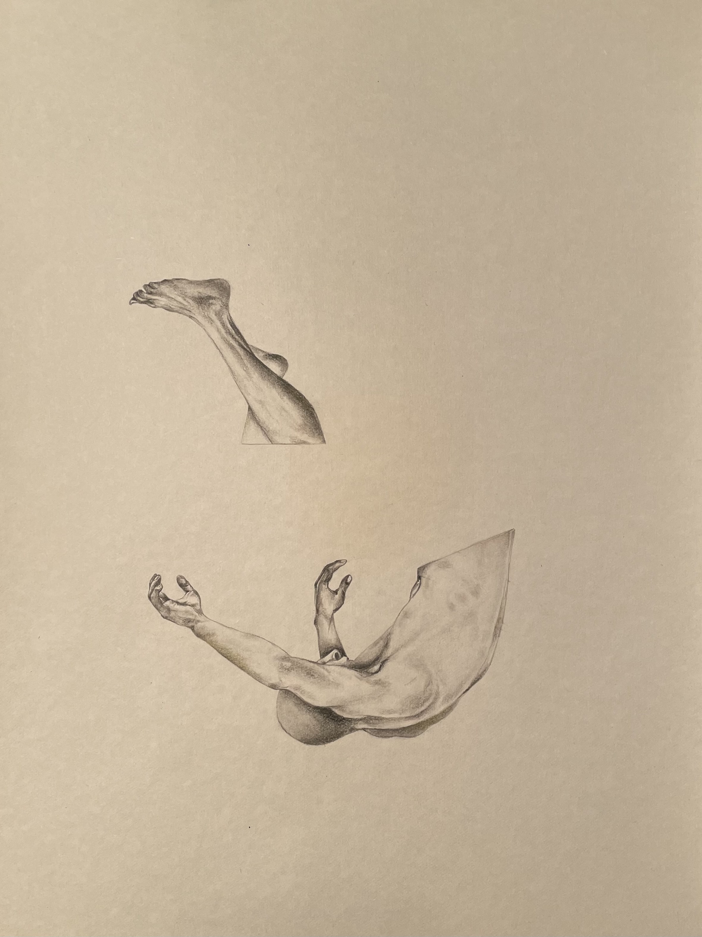 Artwork untitled by Parinaz Hashemi Artwork untitled by Parinaz Hashemi