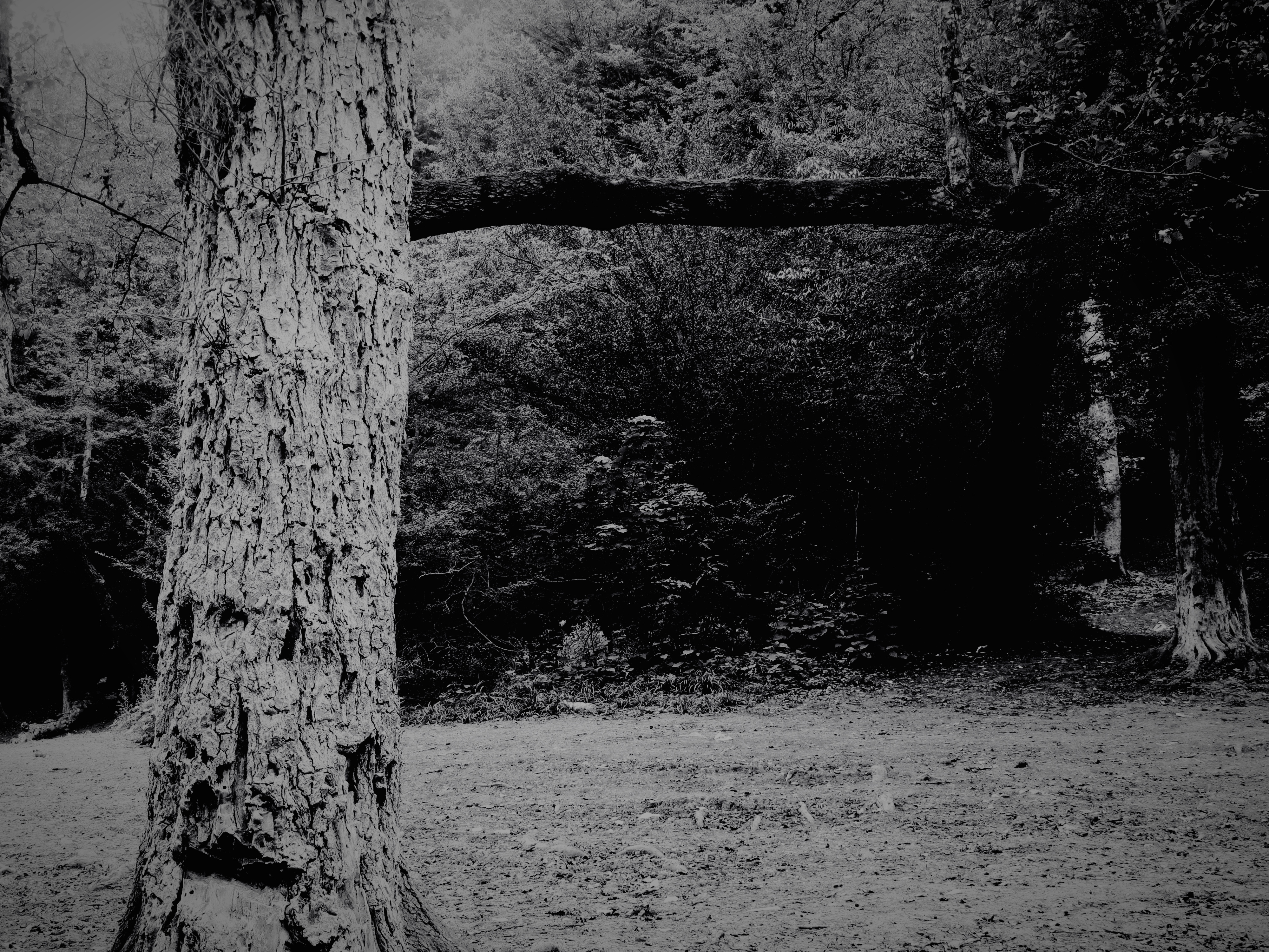 Artwork Untitled 7 by Soheila Sarmadi Artwork Untitled 7 by Soheila Sarmadi