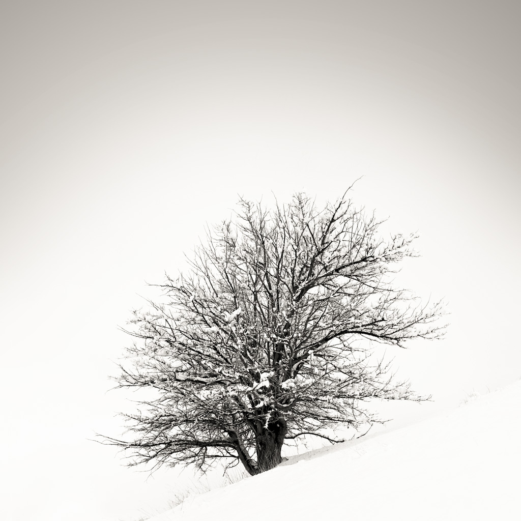 Artwork untitled-- by ali ranjbaran Artwork untitled-- by ali ranjbaran