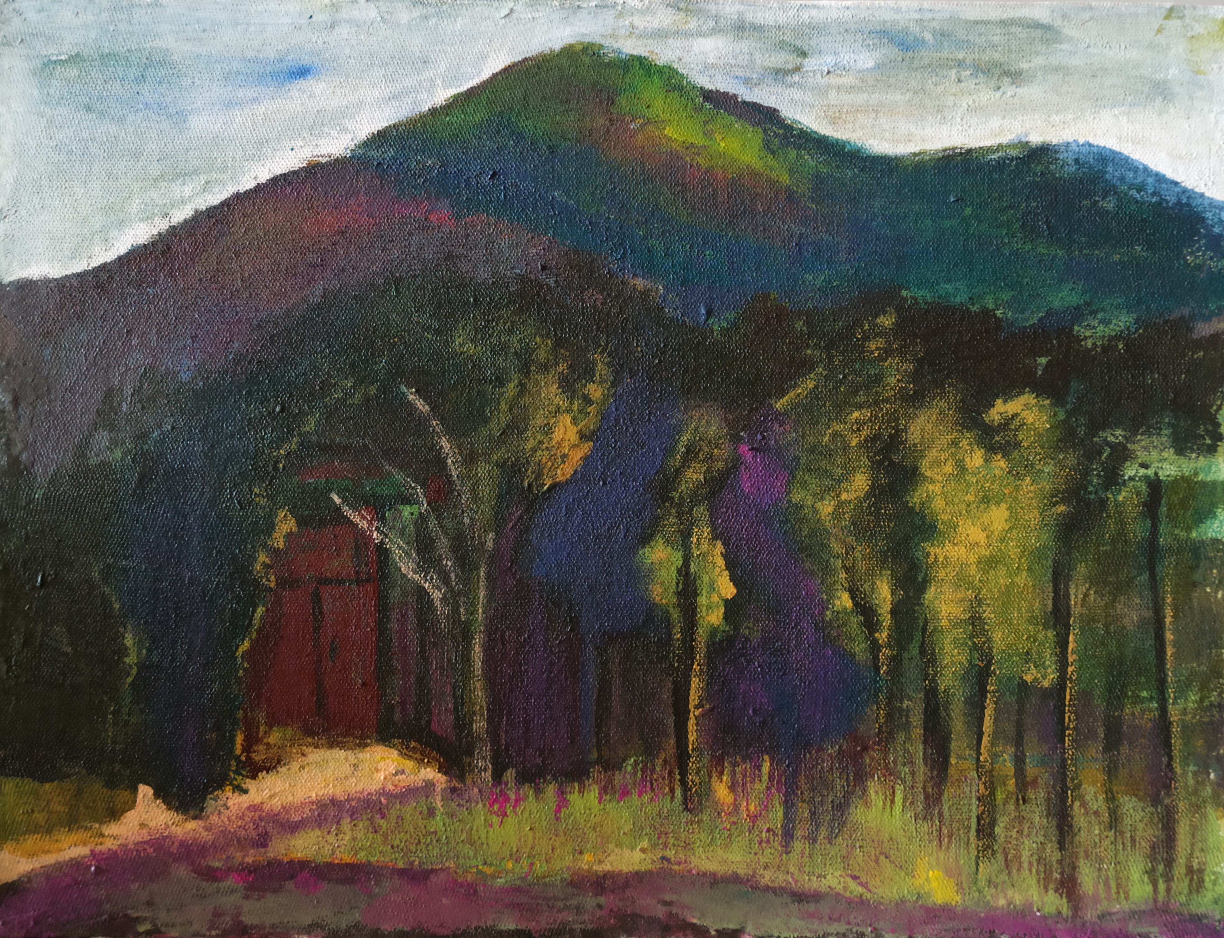 اثر کوه سبز از فاطمه آقاکبیری اثر کوه سبز از فاطمه آقاکبیری