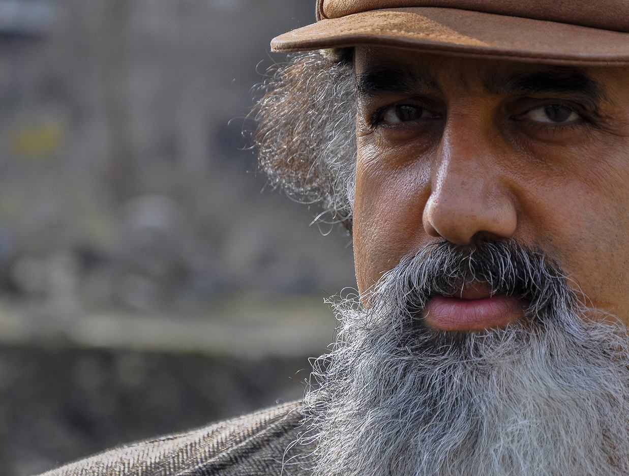 مظاهر افروزی مظاهر افروزی