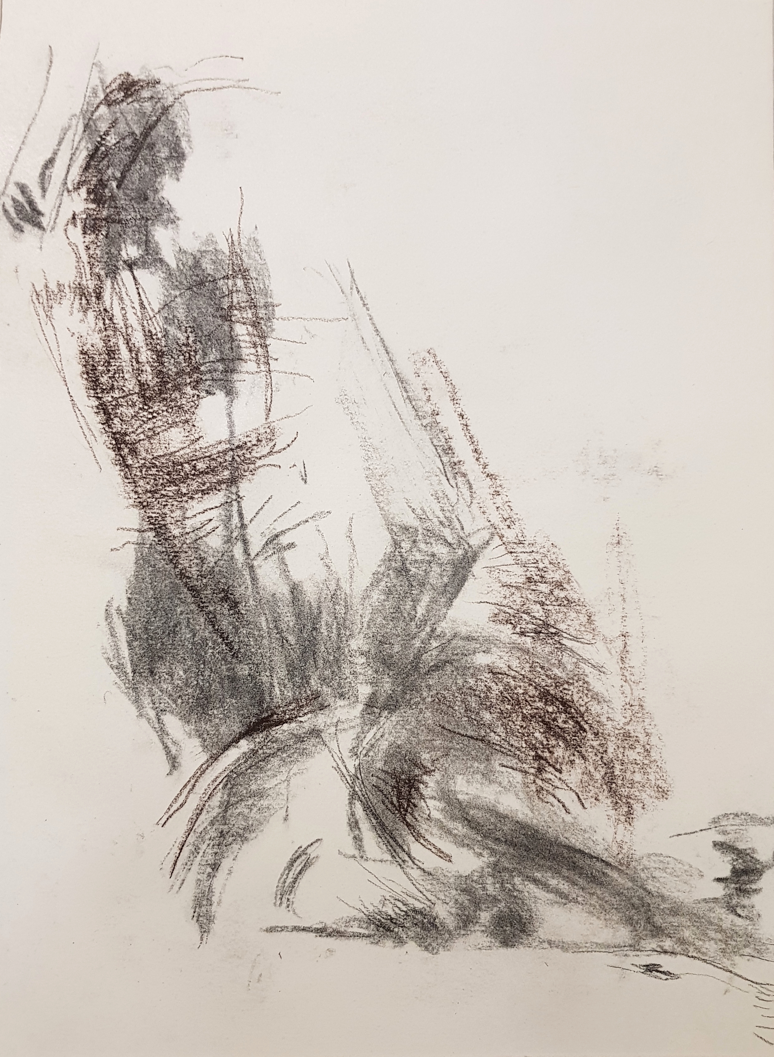 Artwork untitled1 by Zahra Rezaei Artwork untitled1 by Zahra Rezaei