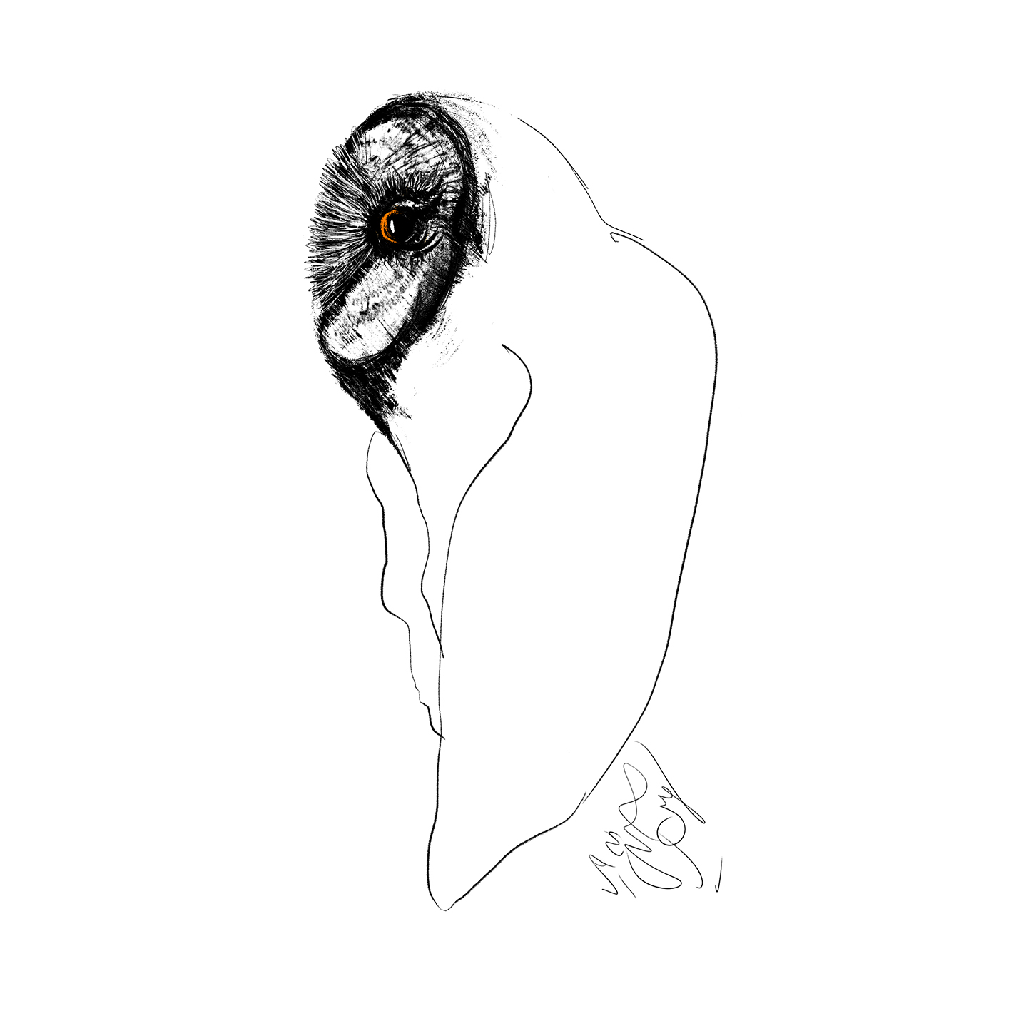 اثر جغدآباد/دوازده از سهیل حسینی اثر جغدآباد/دوازده از سهیل حسینی