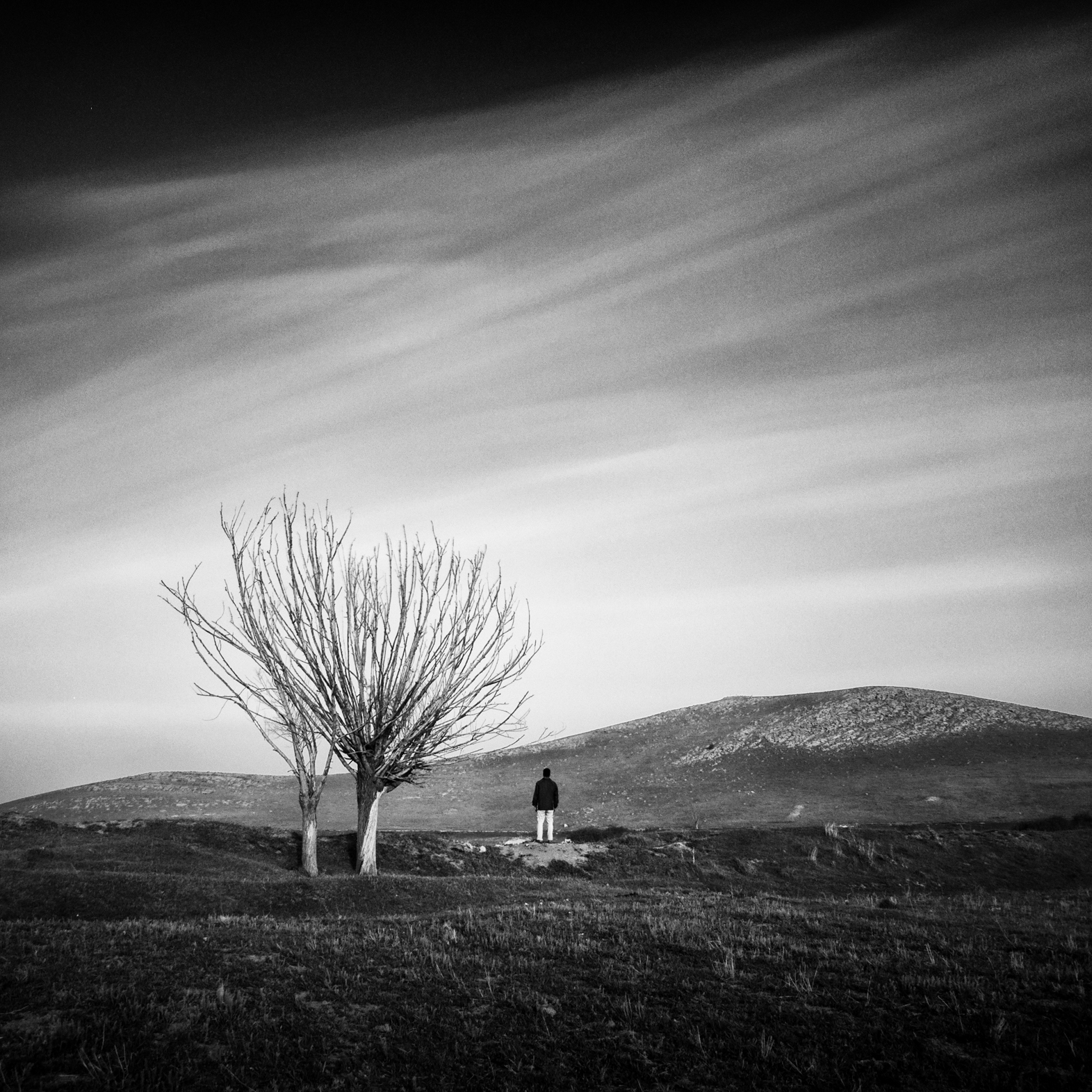 Artwork untitled 2 by Pooyan Shadpoor Artwork untitled 2 by Pooyan Shadpoor