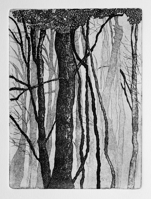 Artwork Garden of Silence 4 by Shokoufeh Fallah Artwork Garden of Silence 4 by Shokoufeh Fallah