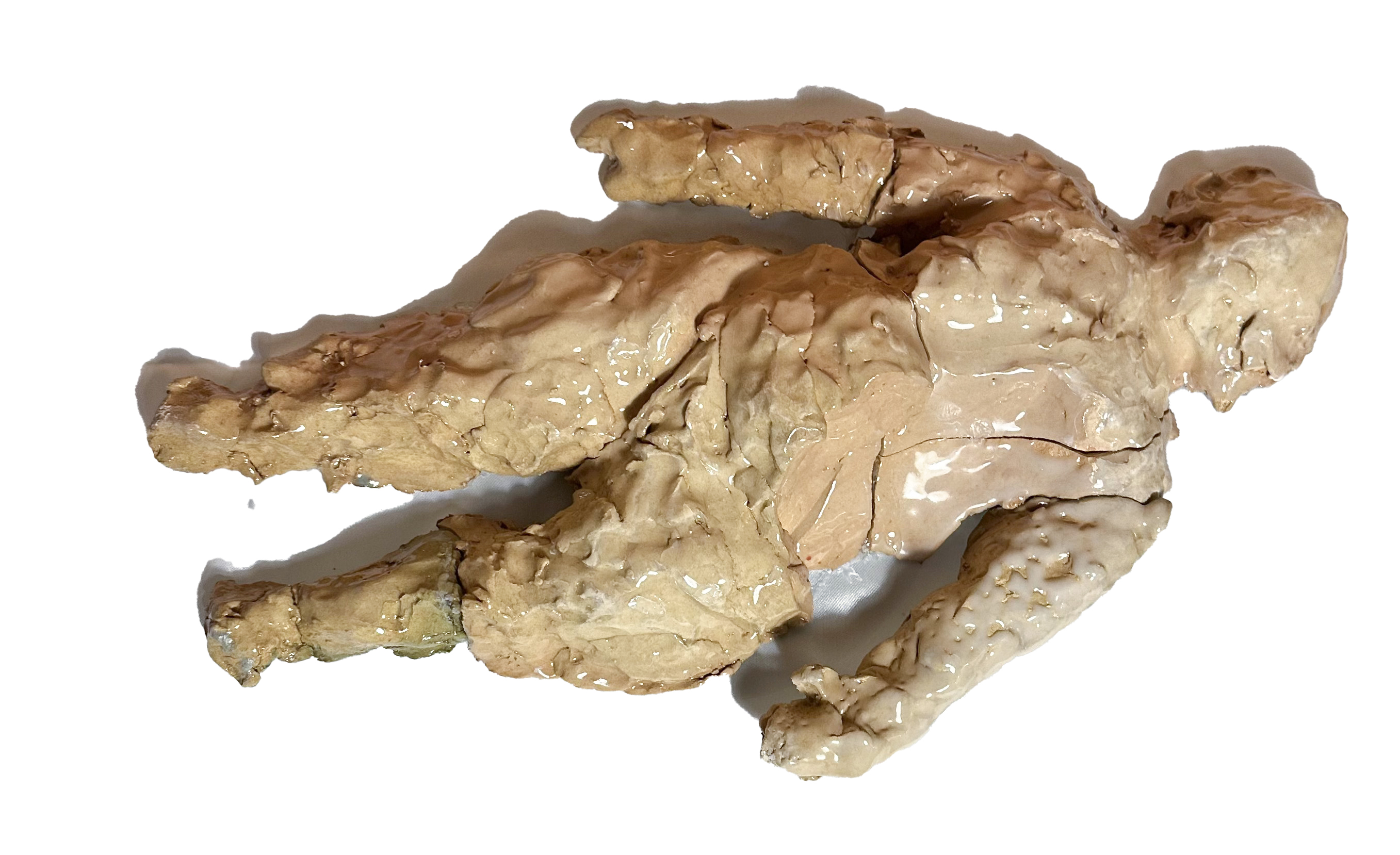 اثر آنک ترانه از سوگل آذرشب اثر آنک ترانه از سوگل آذرشب