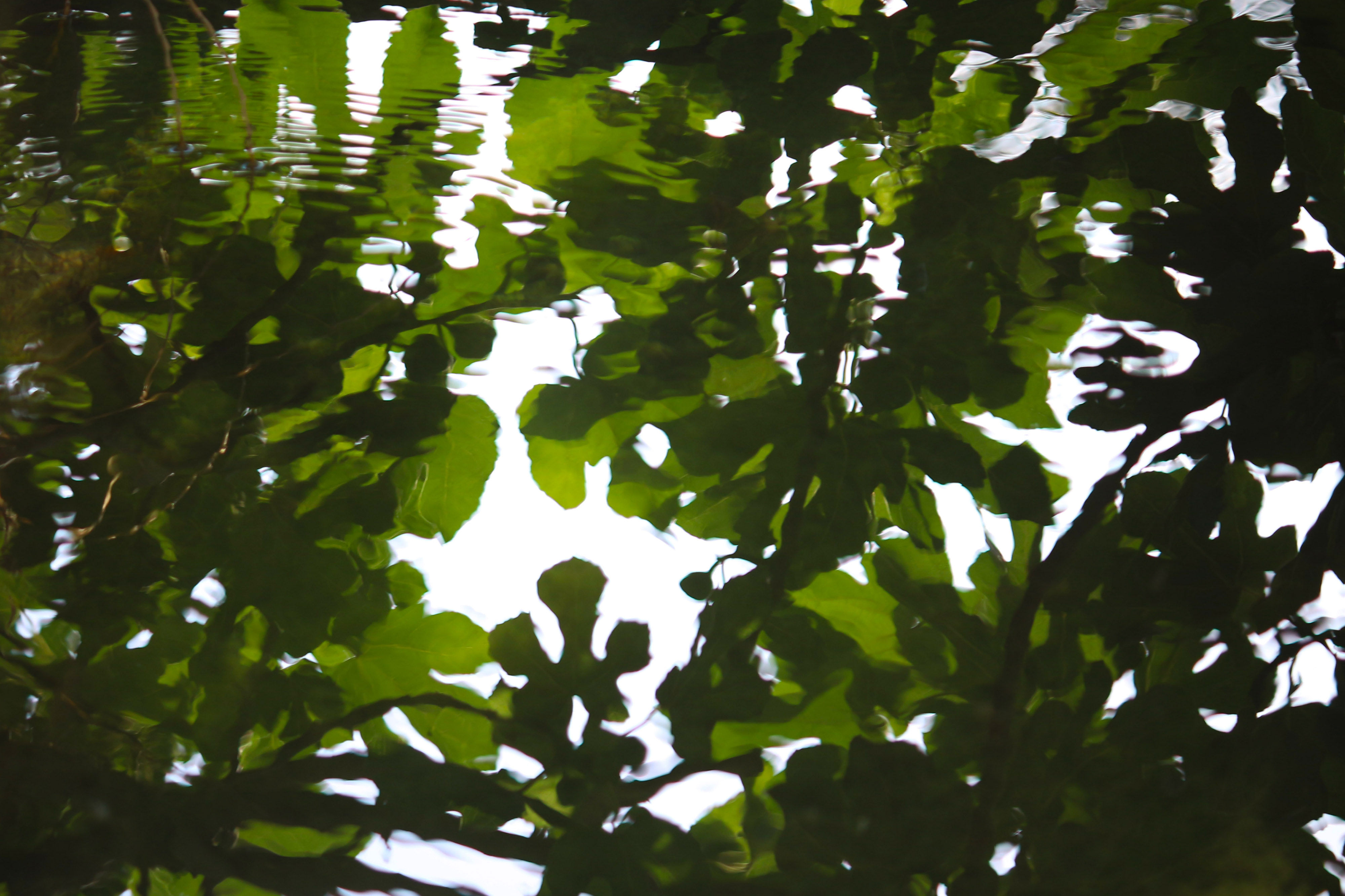 اثر سبز آبی از عابد میرمعصومی اثر سبز آبی از عابد میرمعصومی