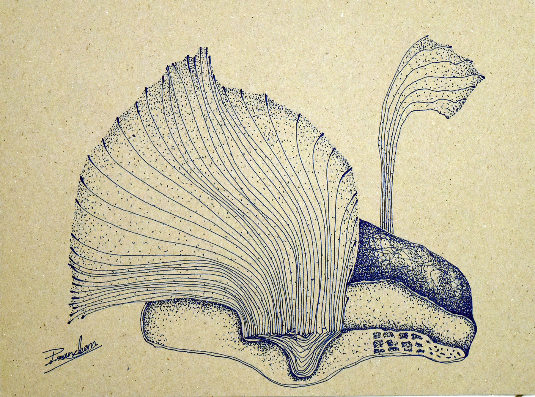 اثر جهان هولوگرافیک3 پنج از پوریا مرزبان اثر جهان هولوگرافیک3 پنج از پوریا مرزبان
