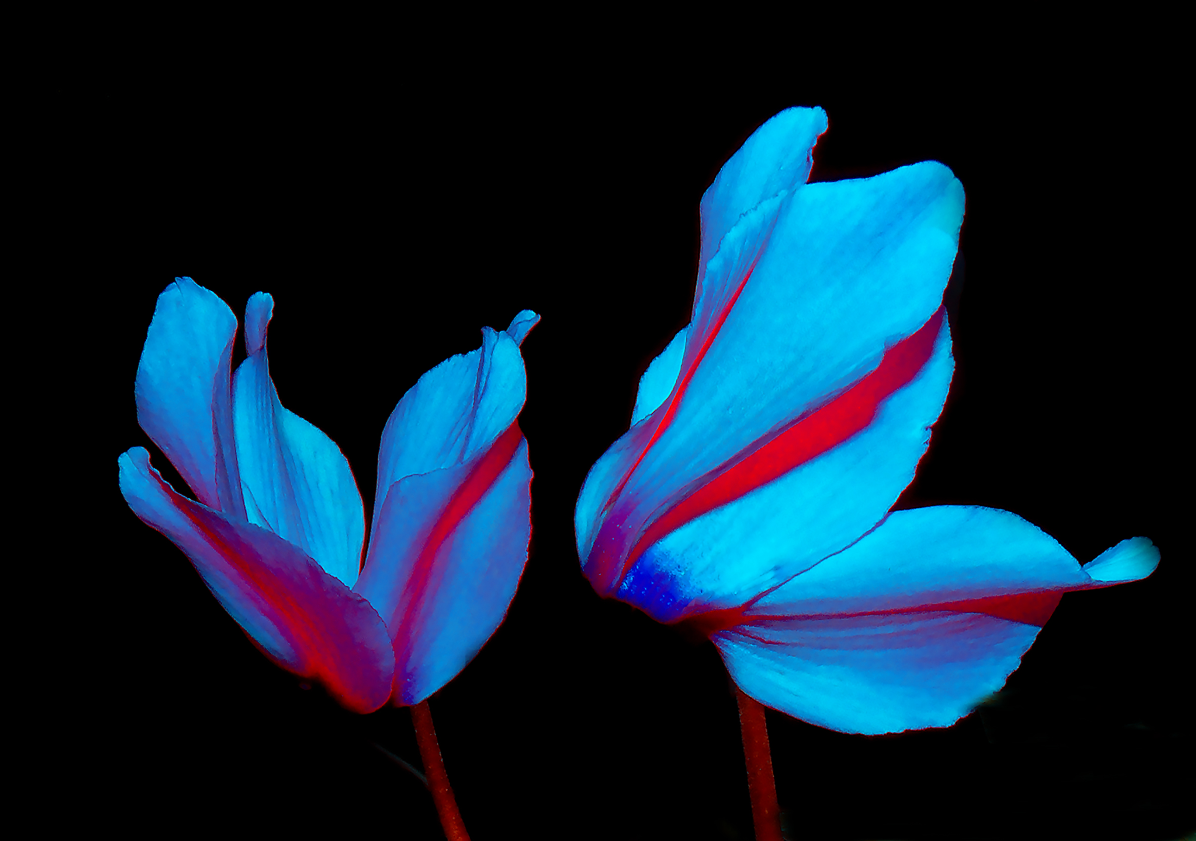 اثر فرا واقعی 4 از فرهاد عزیزی اثر فرا واقعی 4 از فرهاد عزیزی