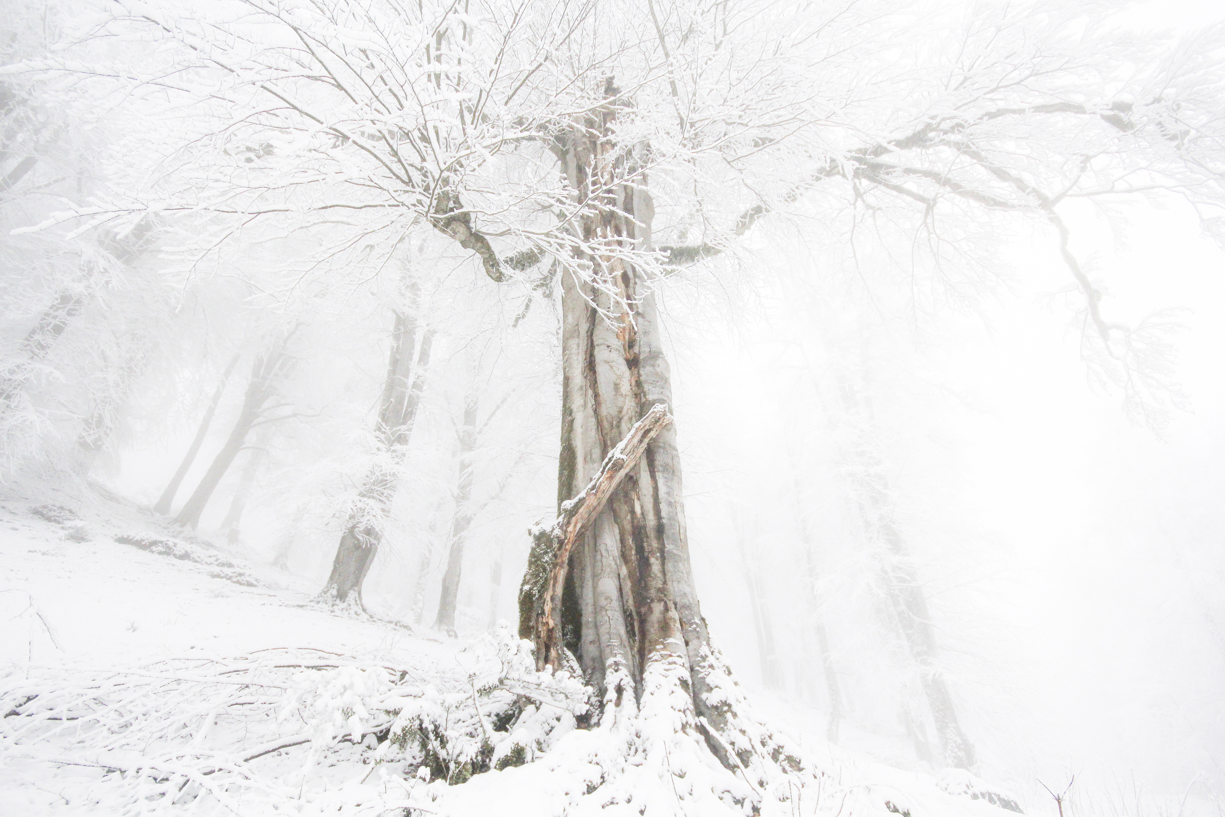 Artwork Hug by Saeed Salestani Artwork Hug by Saeed Salestani