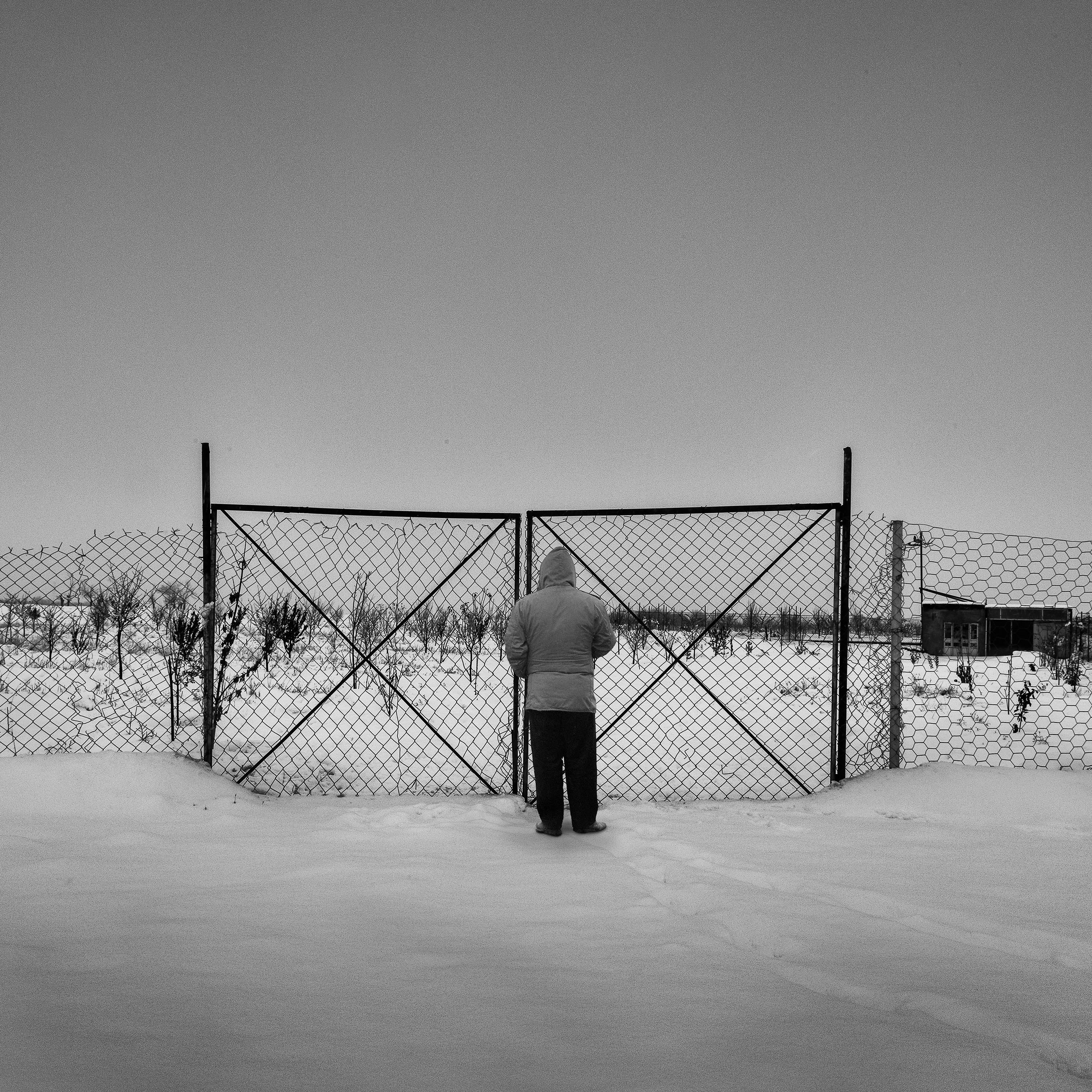 اثر باغ ناتمام از مجید شقایی فلاح اثر باغ ناتمام از مجید شقایی فلاح