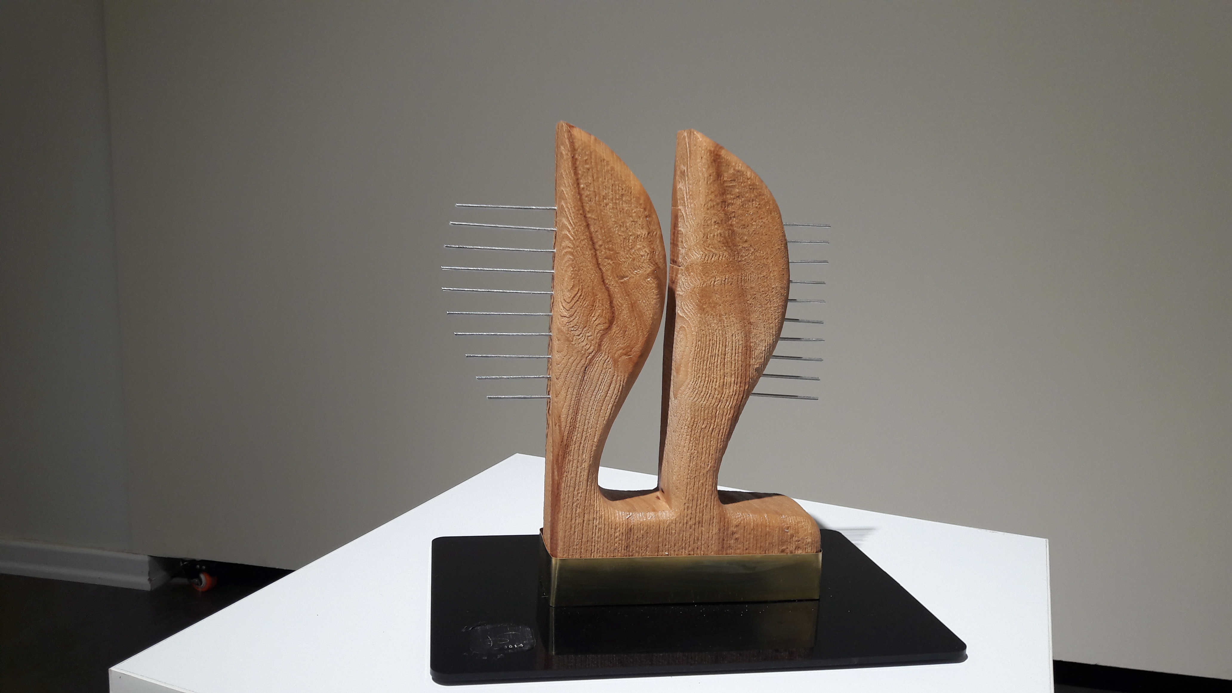 اثر دوقلو از حمید رضا عینی اثر دوقلو از حمید رضا عینی