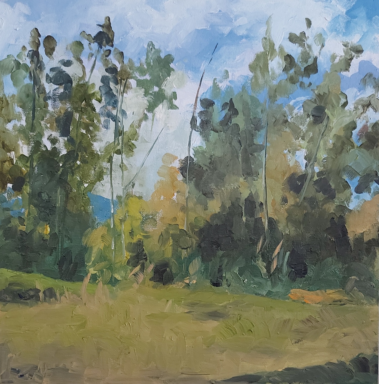 اثر تابستان یک از مینا قویدل اثر تابستان یک از مینا قویدل