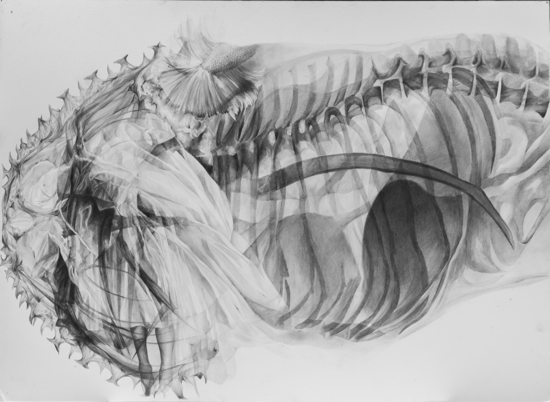 اثر بدون عنوان از تارا آزرم اثر بدون عنوان از تارا آزرم