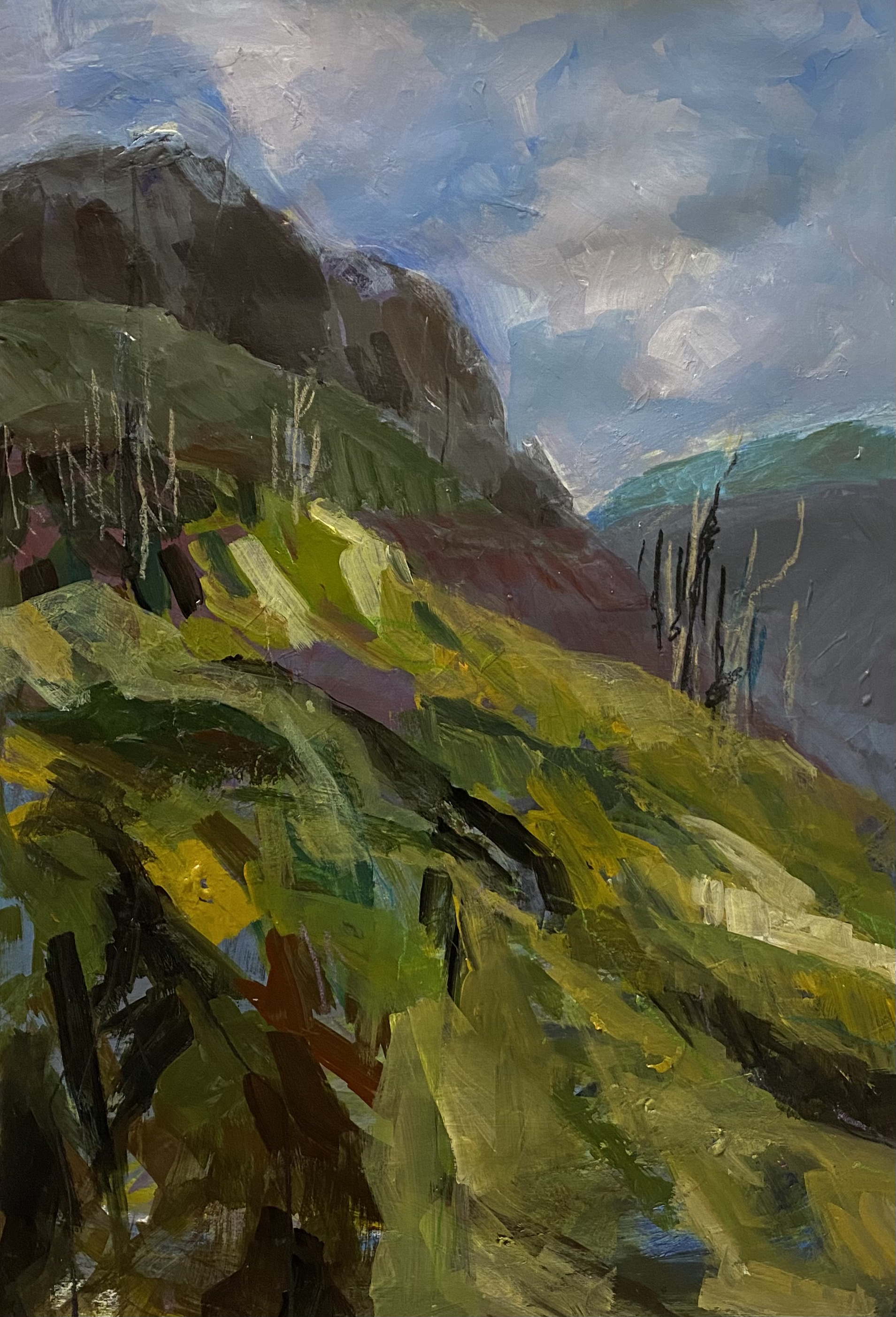 اثر طبیعت 12 از شانلی مومنی اثر طبیعت 12 از شانلی مومنی