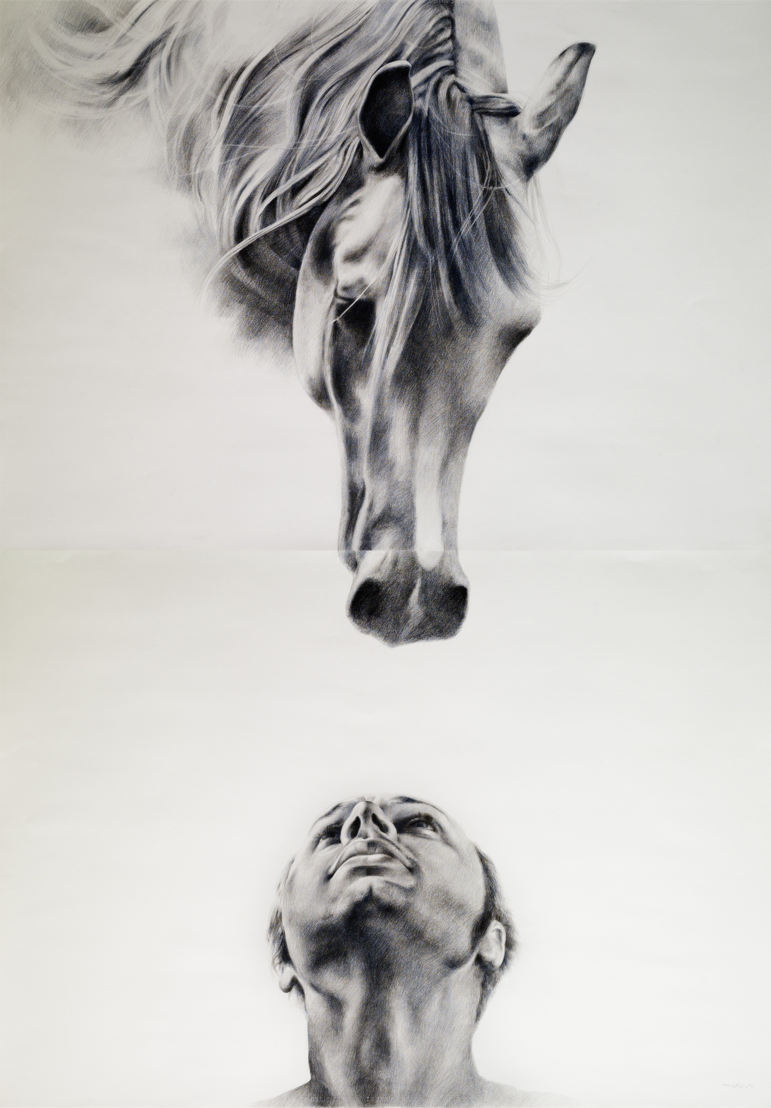 Artwork Man and the Horse by Vahid Mirzamohammadi Artwork Man and the Horse by Vahid Mirzamohammadi
