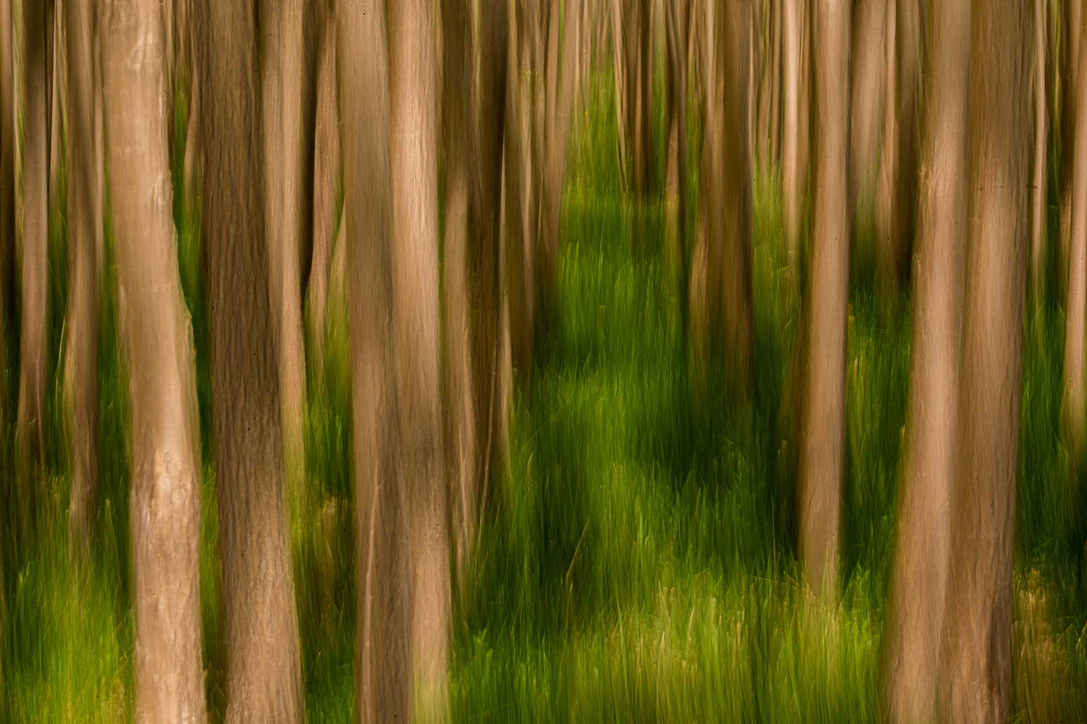 بدون عنوان 02 | | آرتیبیشن گالری بدون عنوان 02 | | آرتیبیشن گالری