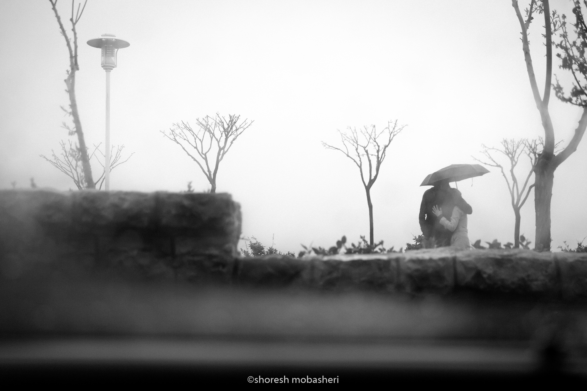 Artwork rainy day by shoresh mobasheri Artwork rainy day by shoresh mobasheri