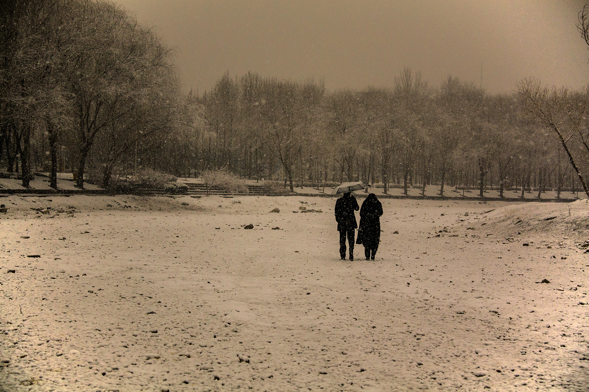اثر عشق از شهروز حیدری اثر عشق از شهروز حیدری