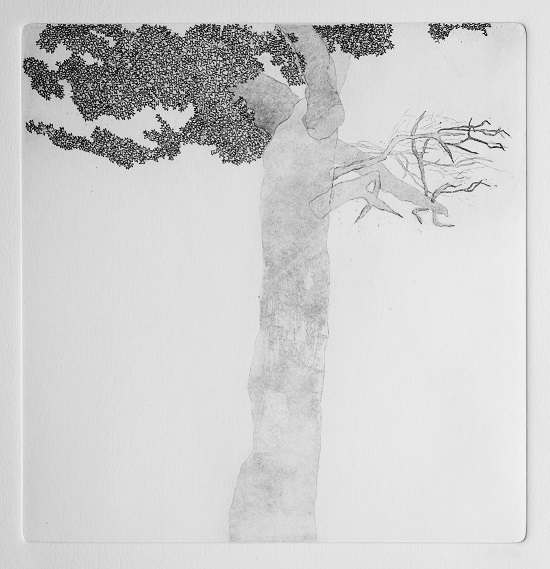 Artwork Garden of Silence 6 by Shokoufeh Fallah Artwork Garden of Silence 6 by Shokoufeh Fallah