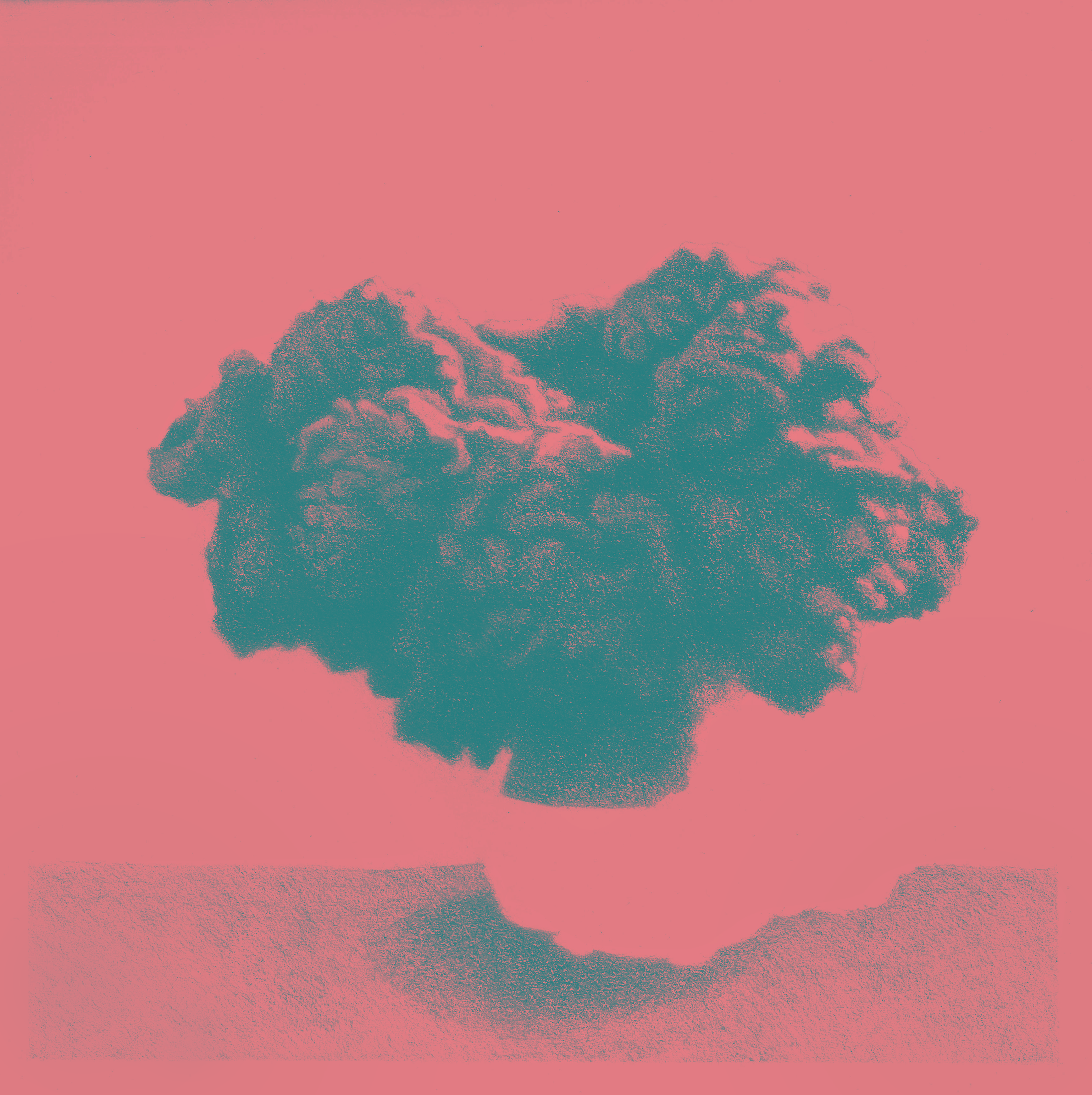 Artwork Bloom by رضا Bijargasht Artwork Bloom by رضا Bijargasht